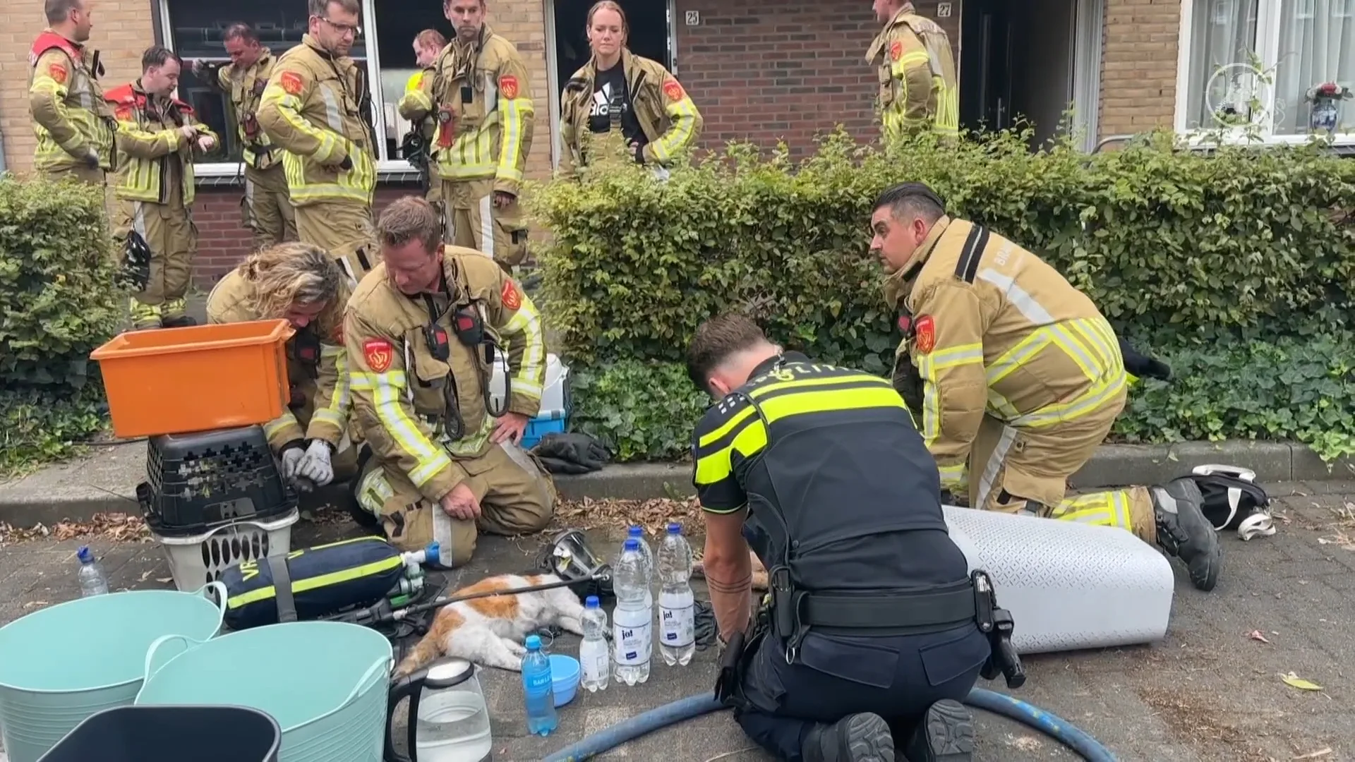 Katjes uit brandende woning gered, brandweer dient extra zuurstof toe