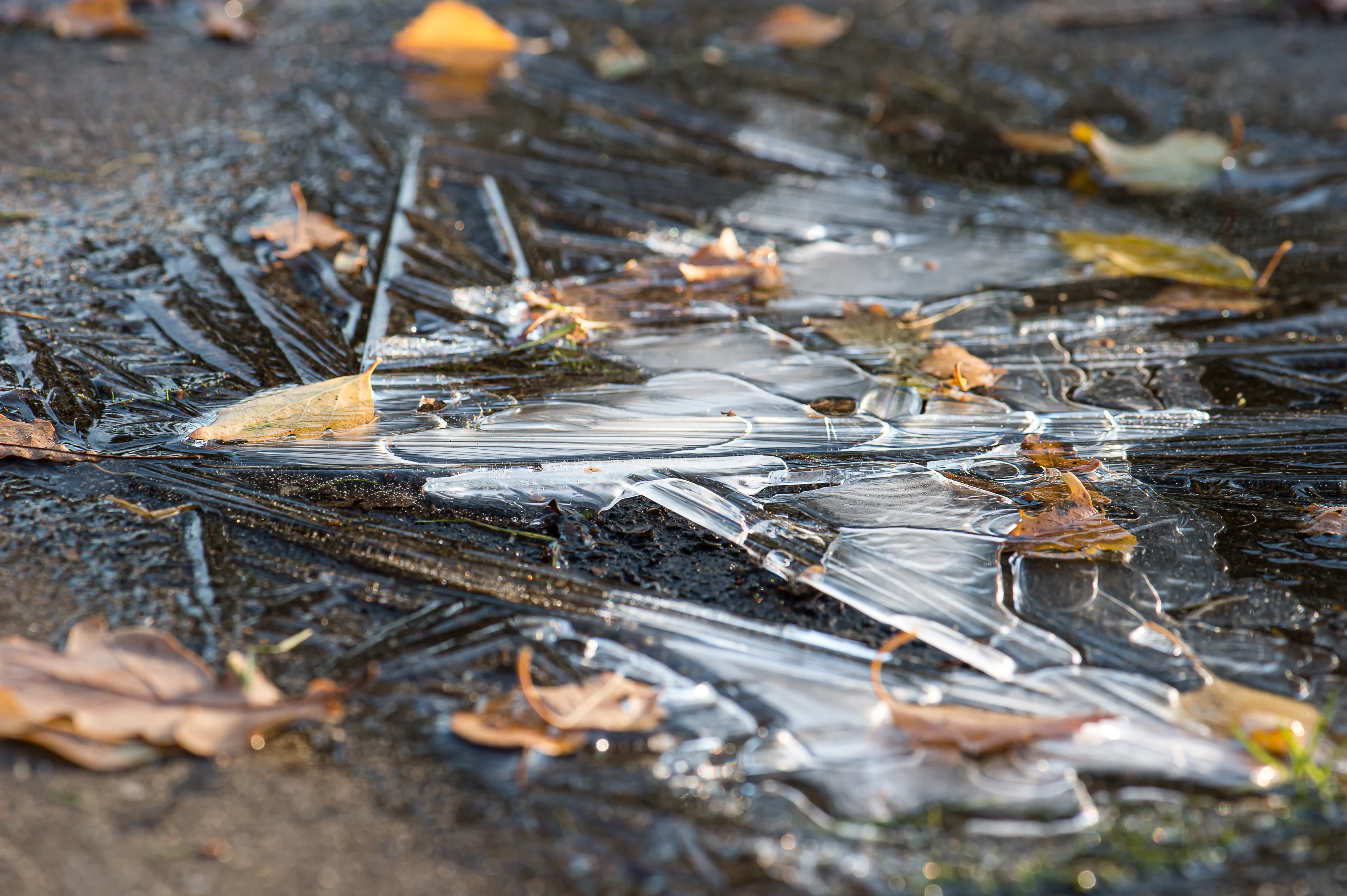 Eerste officiële vorst van dit najaar is een feit