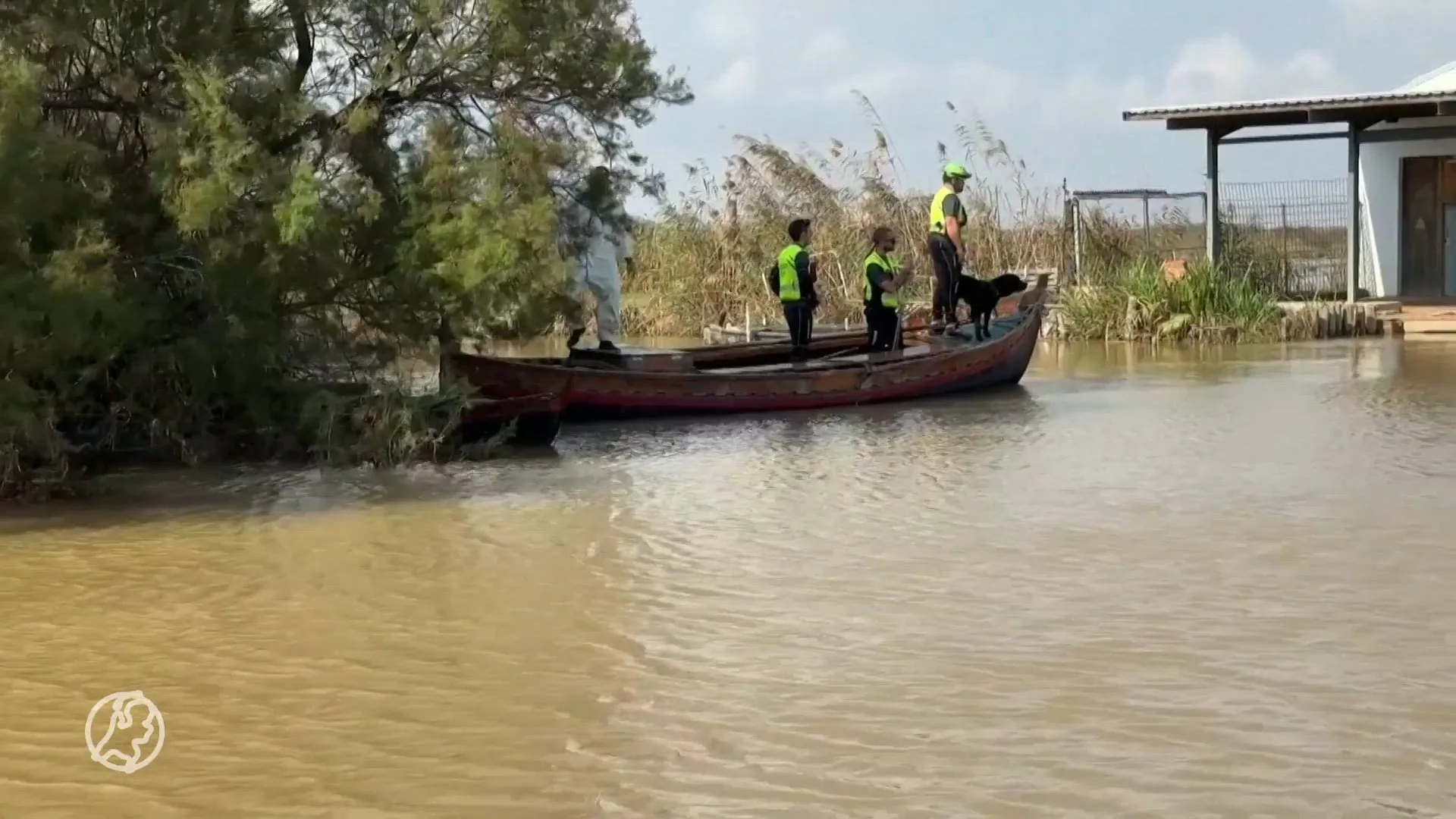 Reddingshondenteam zet alles op alles om vermisten noodweer Spanje te vinden