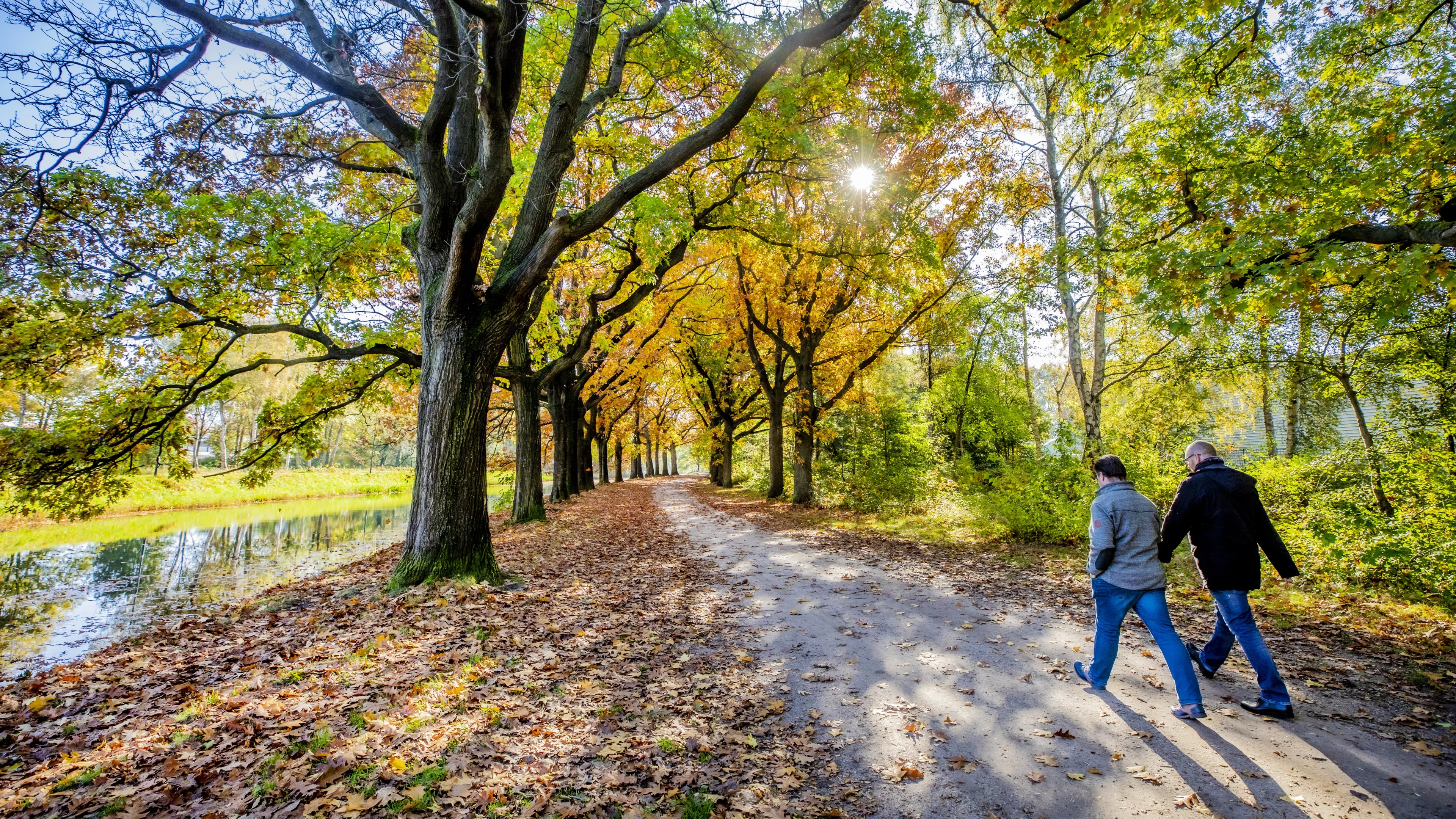 Dit is de meest gezonde stad van Nederland