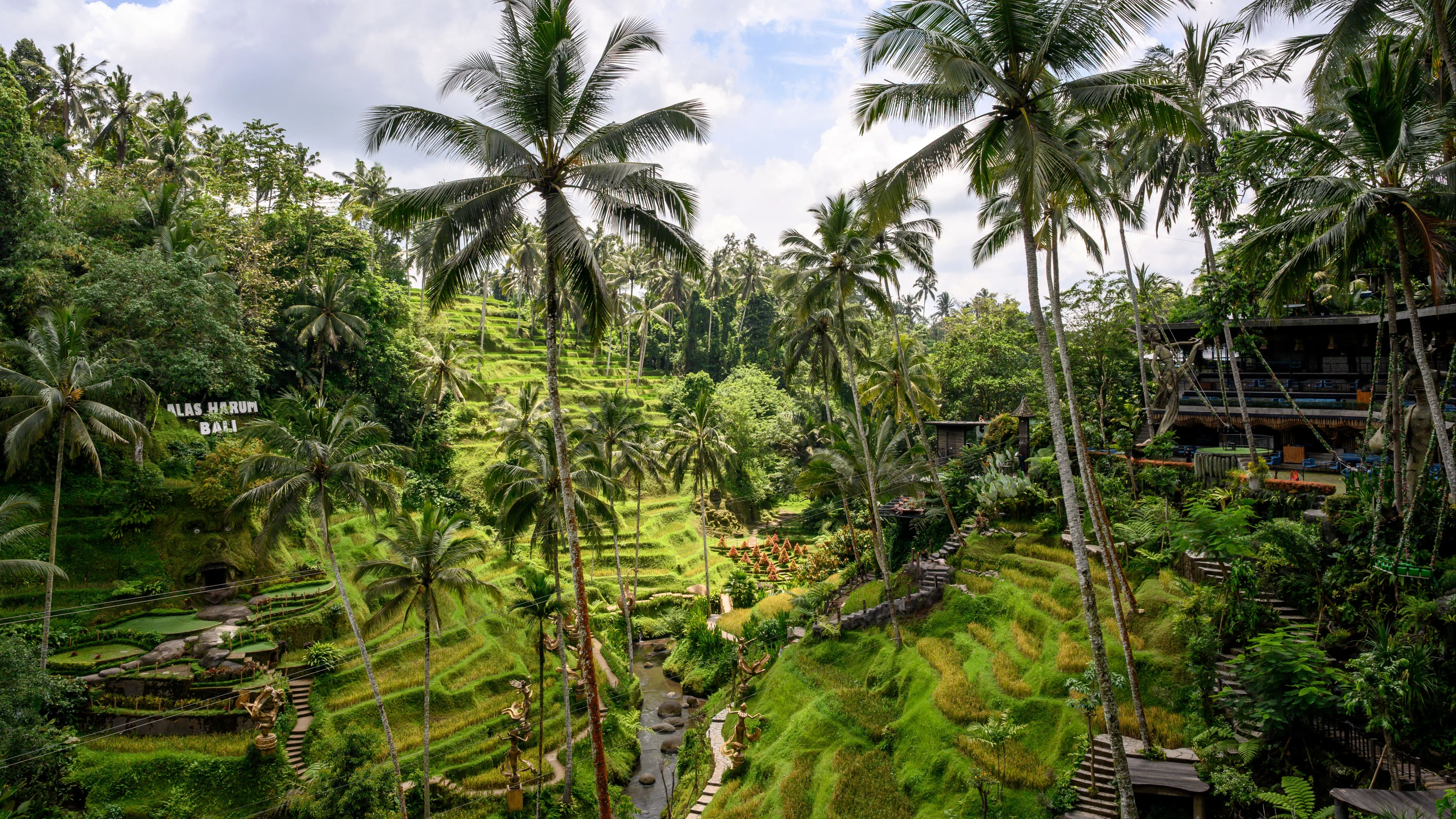 Nederlander (41) in de boeien geslagen in Indonesië na flinke overlast op straat