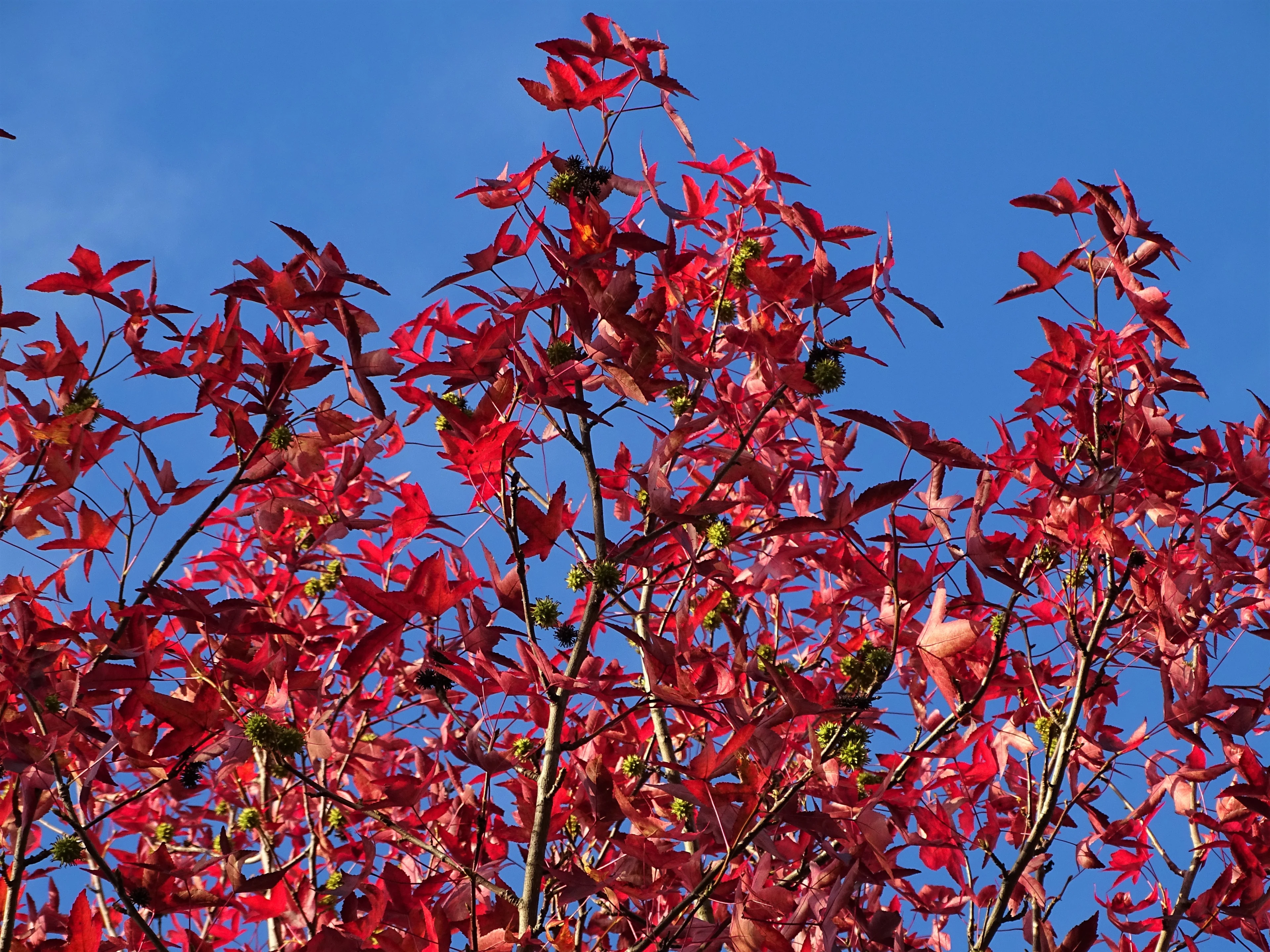 Bewolkt in het westen, zonnig in het binnenland
