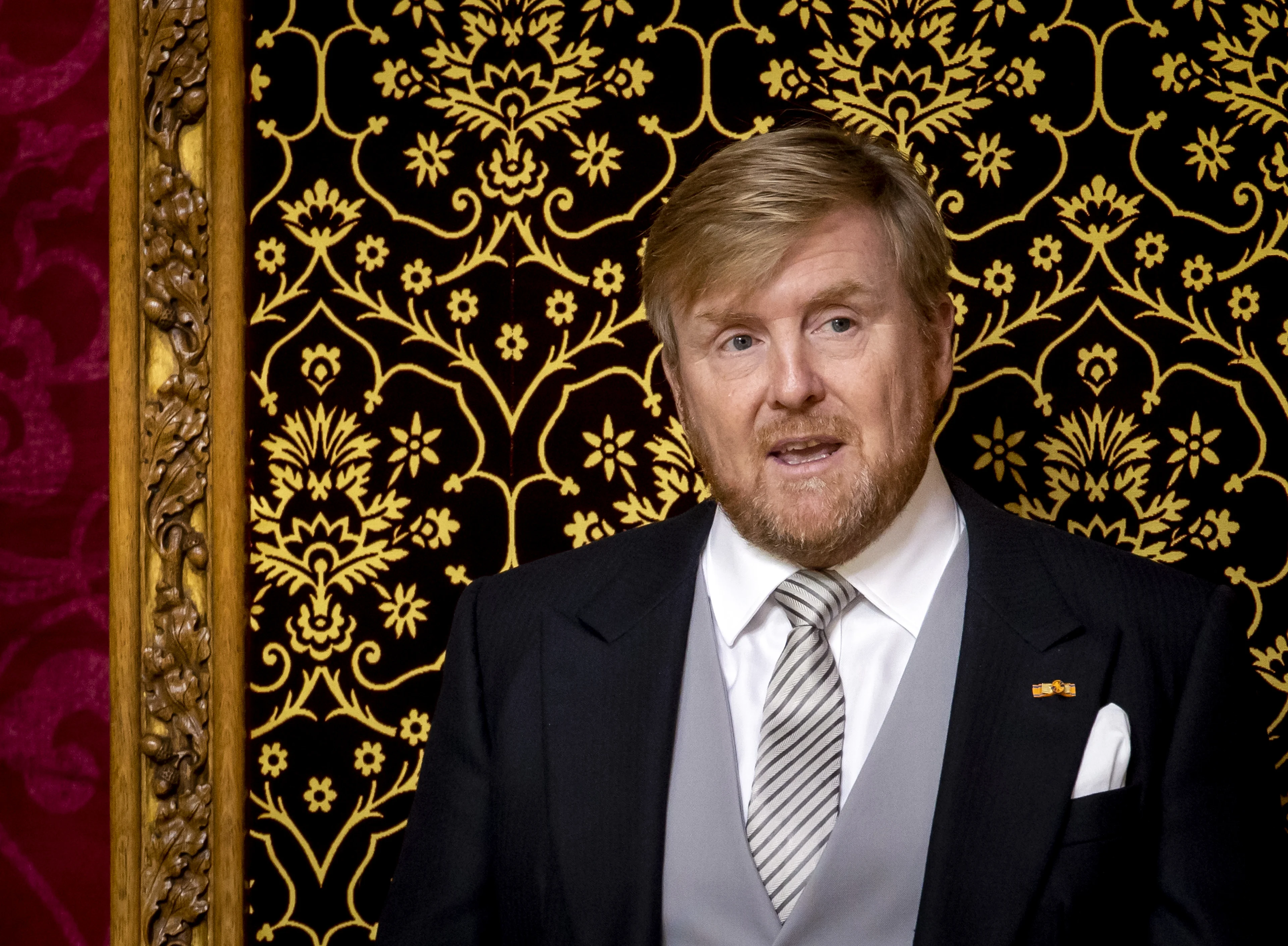 Gedupeerden toeslagenaffaire: Koning toonde betrokkenheid