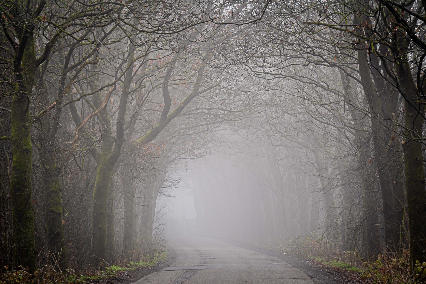 Grijs begin van de dag in het zuiden meer kans op zon