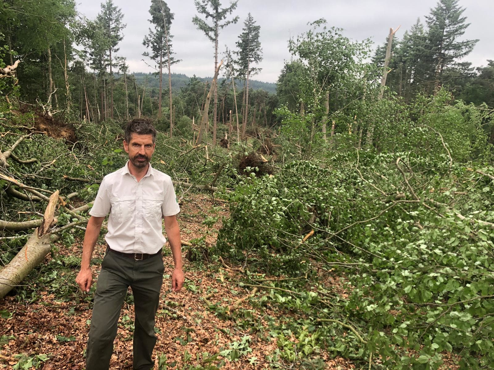 Staatsbosbeheer plaatst hekken om ramptoeristen uit verwoest bos te weren