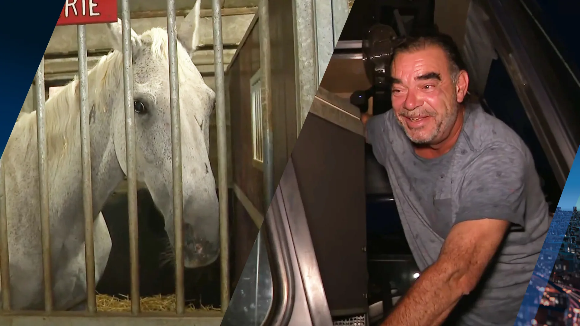 Beste paard van stal Valtteri Bottas brengt nacht door op manege