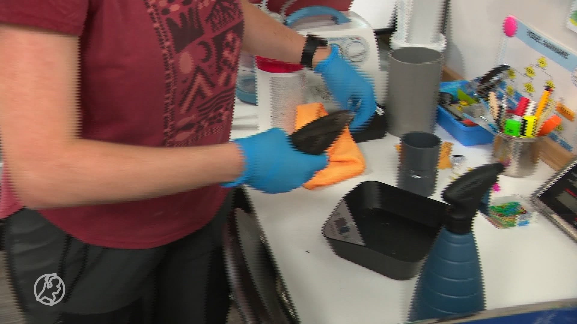 Usutuvirus duikt weer op in Nederland: veel merels overleven het niet