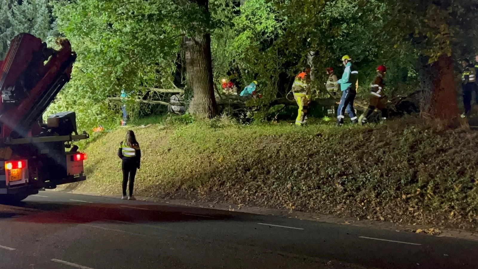 52-jarige bestuurder uit Maaseik overleden na lancering met auto in bomen