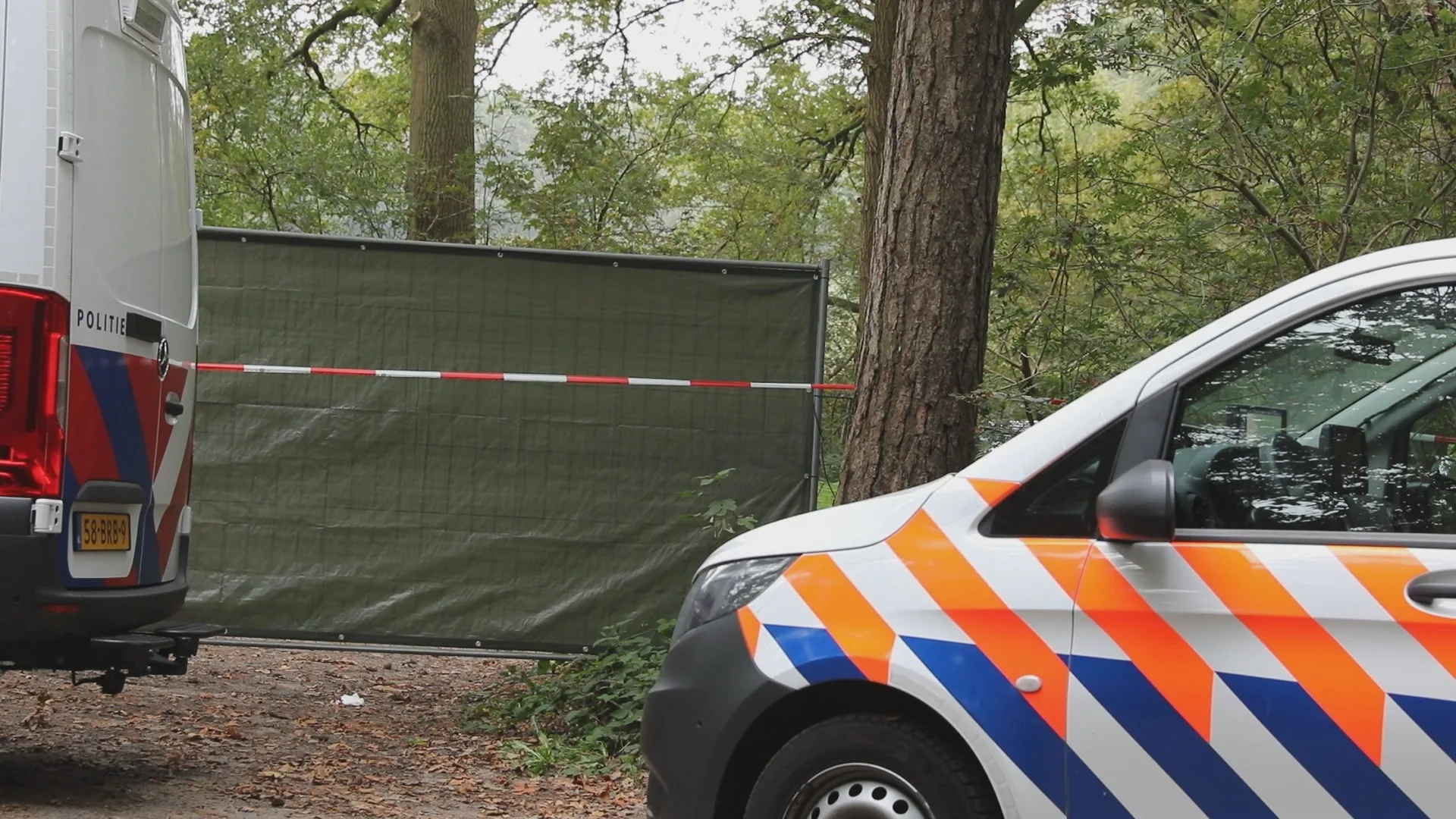 Man (31) opgepakt in verband met dood 75-jarige vrouw uit Halsteren