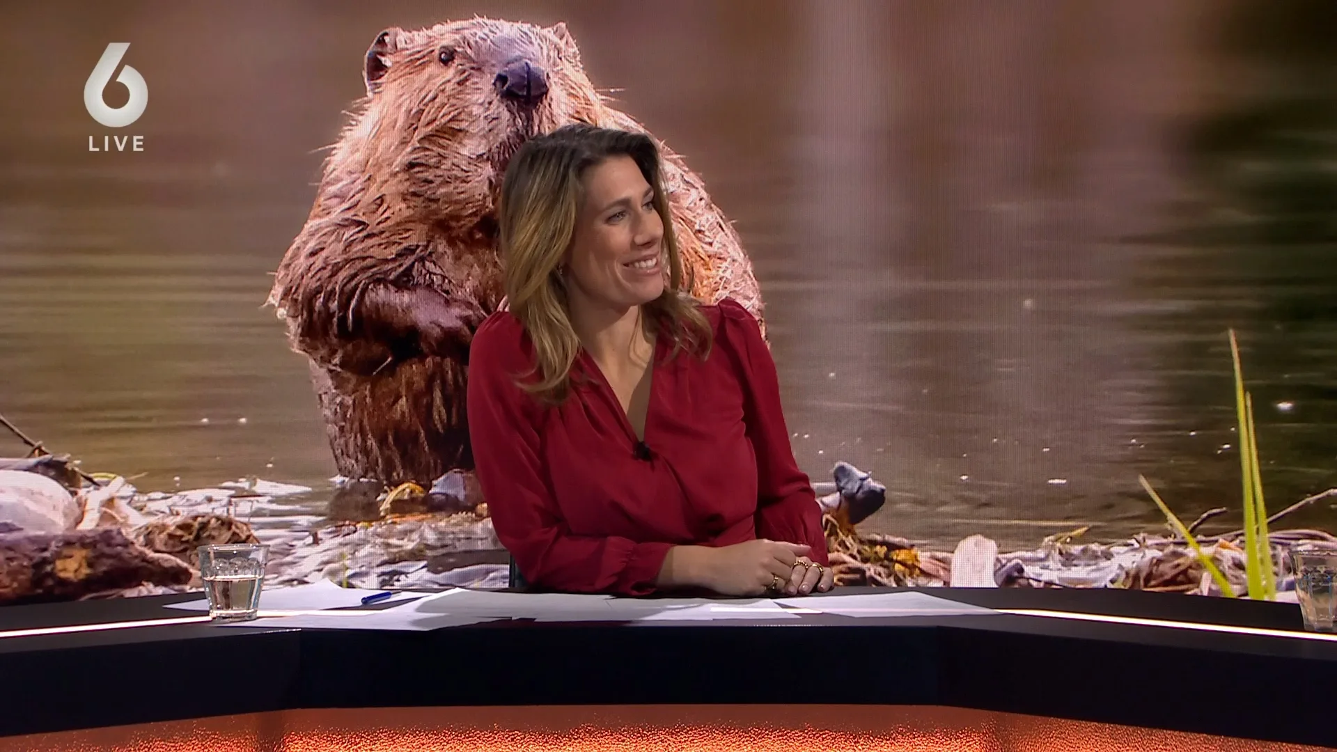 Kunnen mens en dier nog naast elkaar leven?