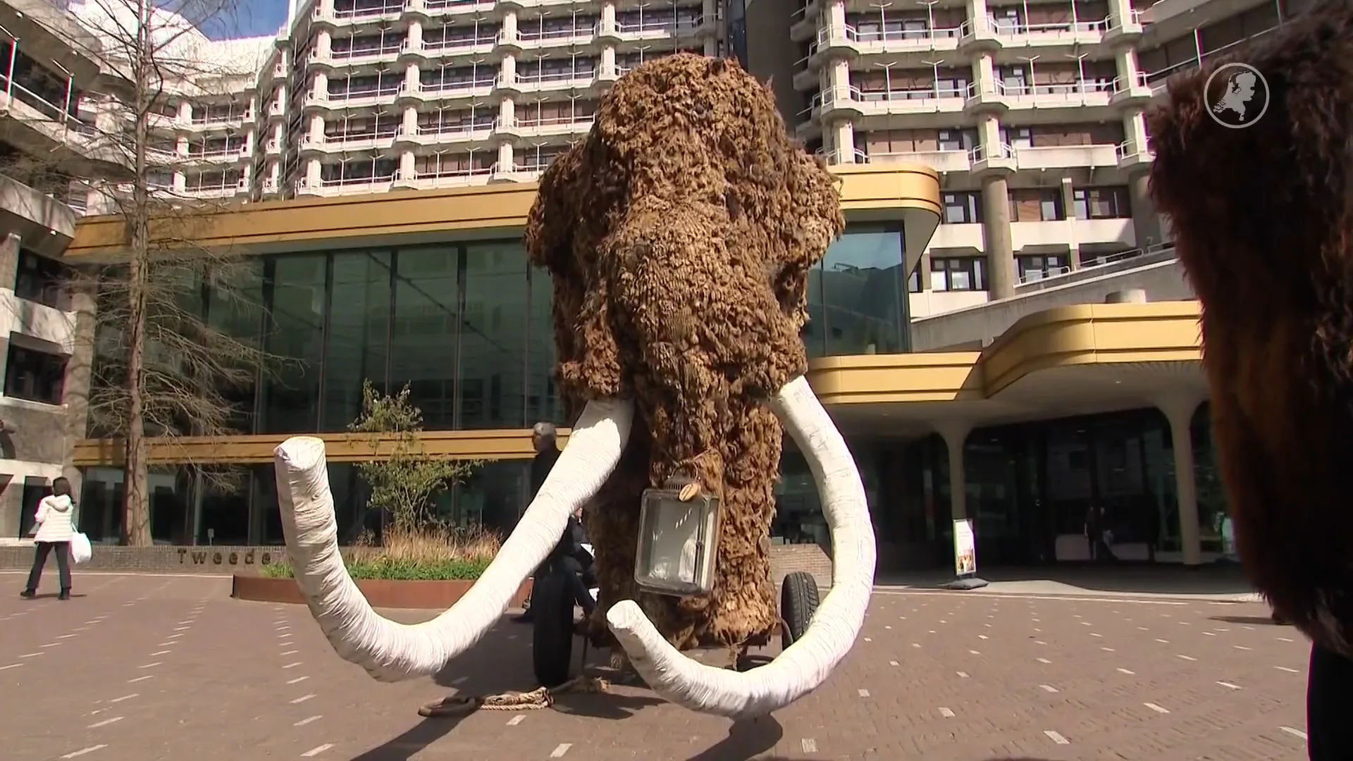 Met ludiek protest probeert Barry paasvuren te redden