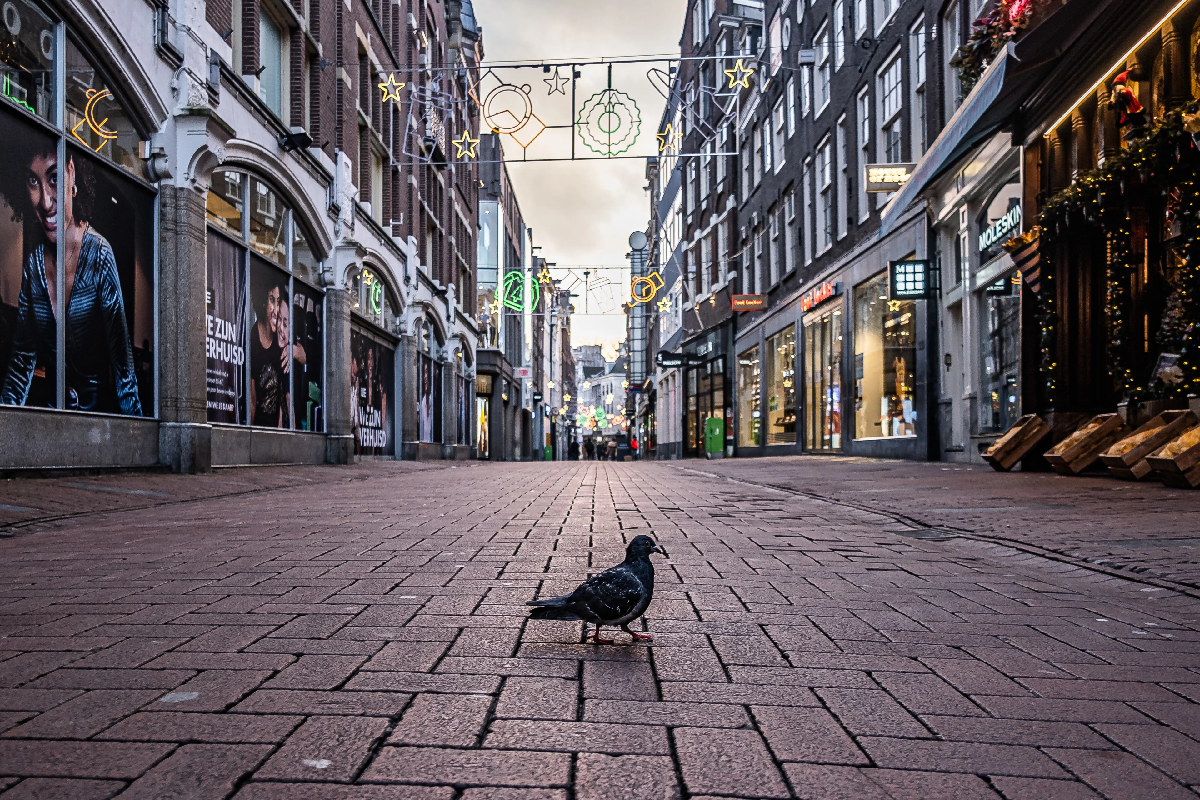 Vaccinatiebewijs voor iedere Nederlander vanaf maart te downloaden