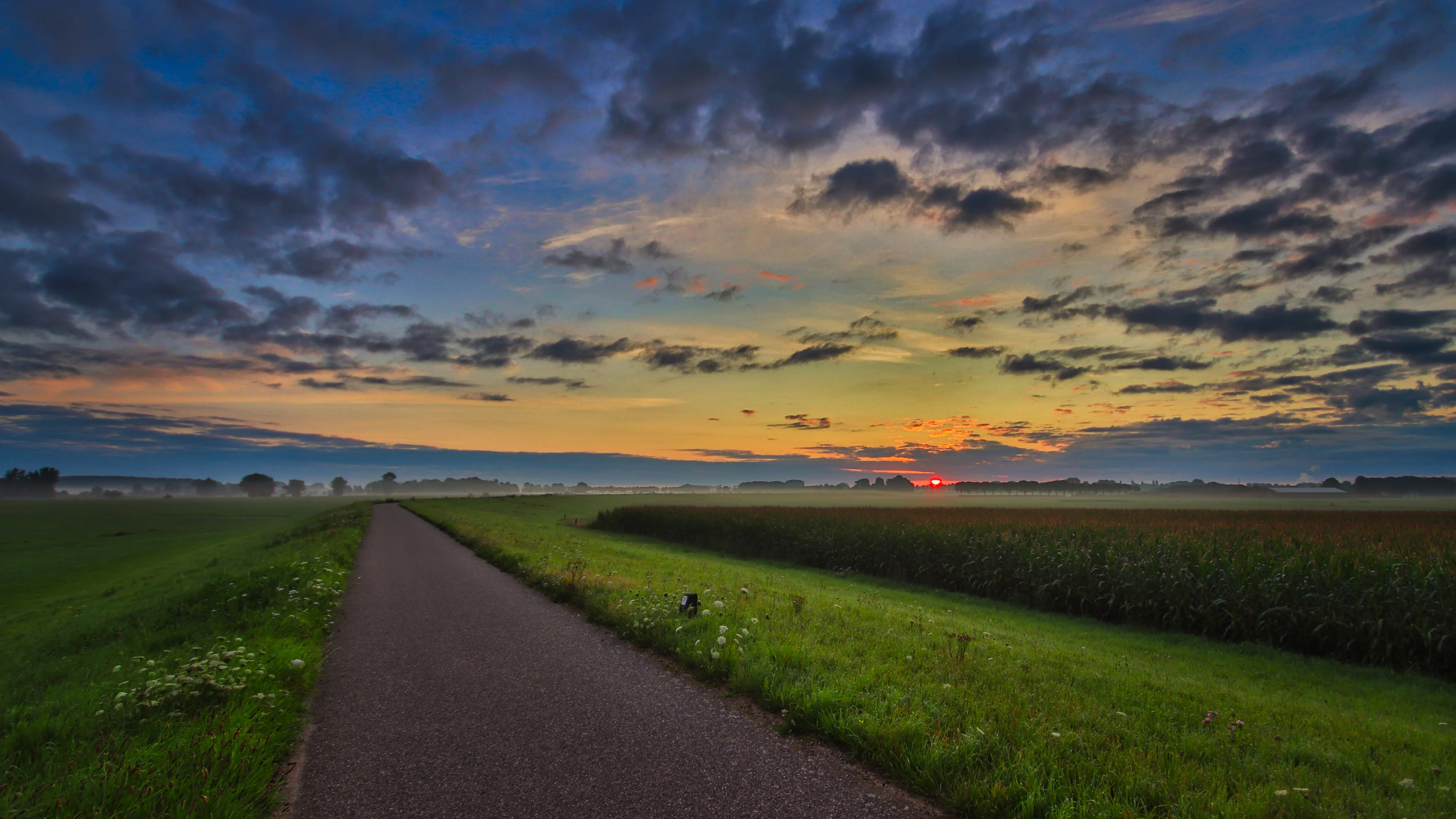 Zomerweer keert halverwege volgende week terug in Nederland