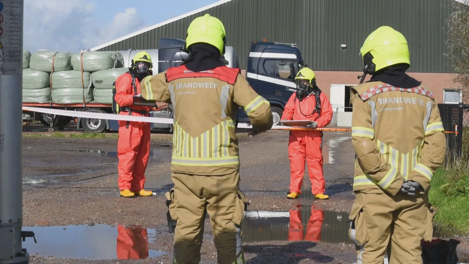 Bizar: honderden dode varkens in Limburgse stal