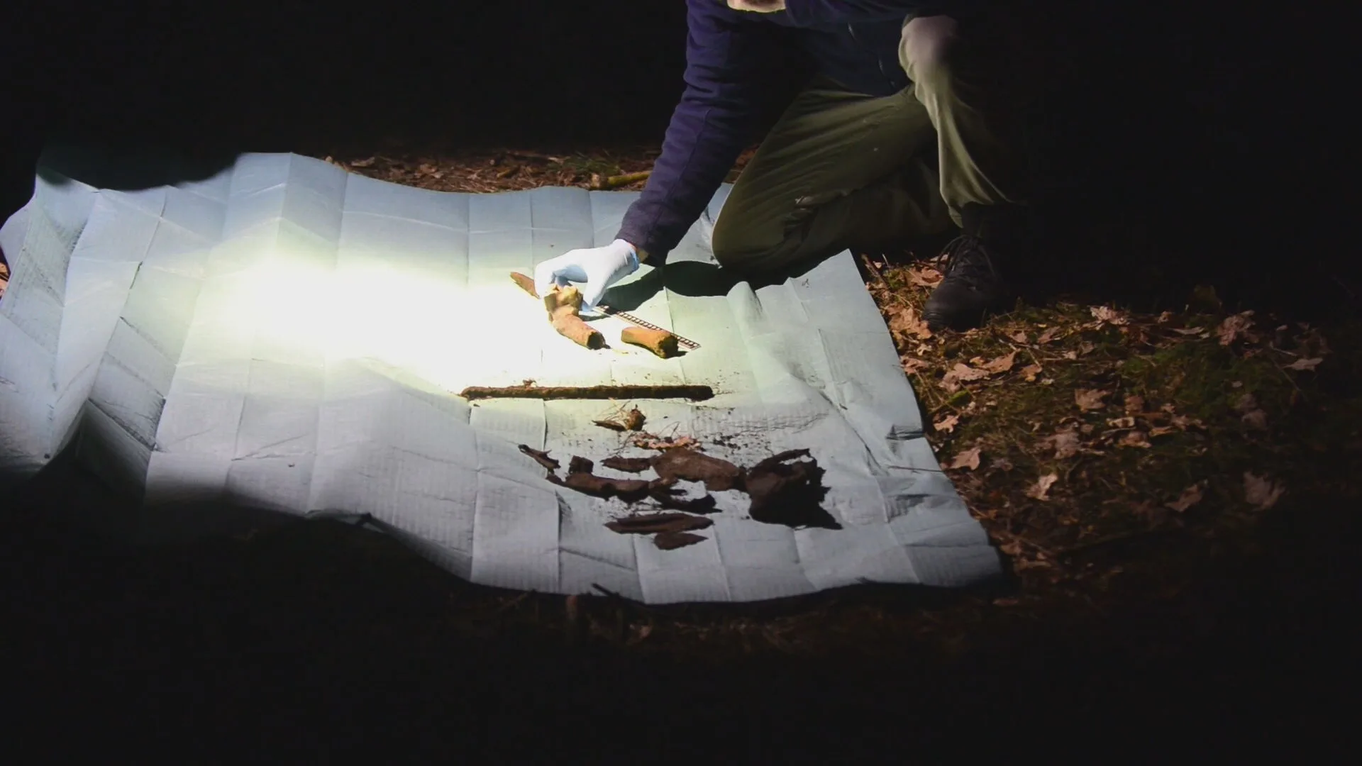 Vader en zoon vinden botresten in bosgebied Limburg