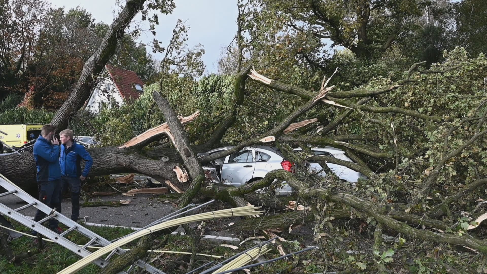 Flinke ravage: boom valt op rijdende auto's op N65 bij Tilburg