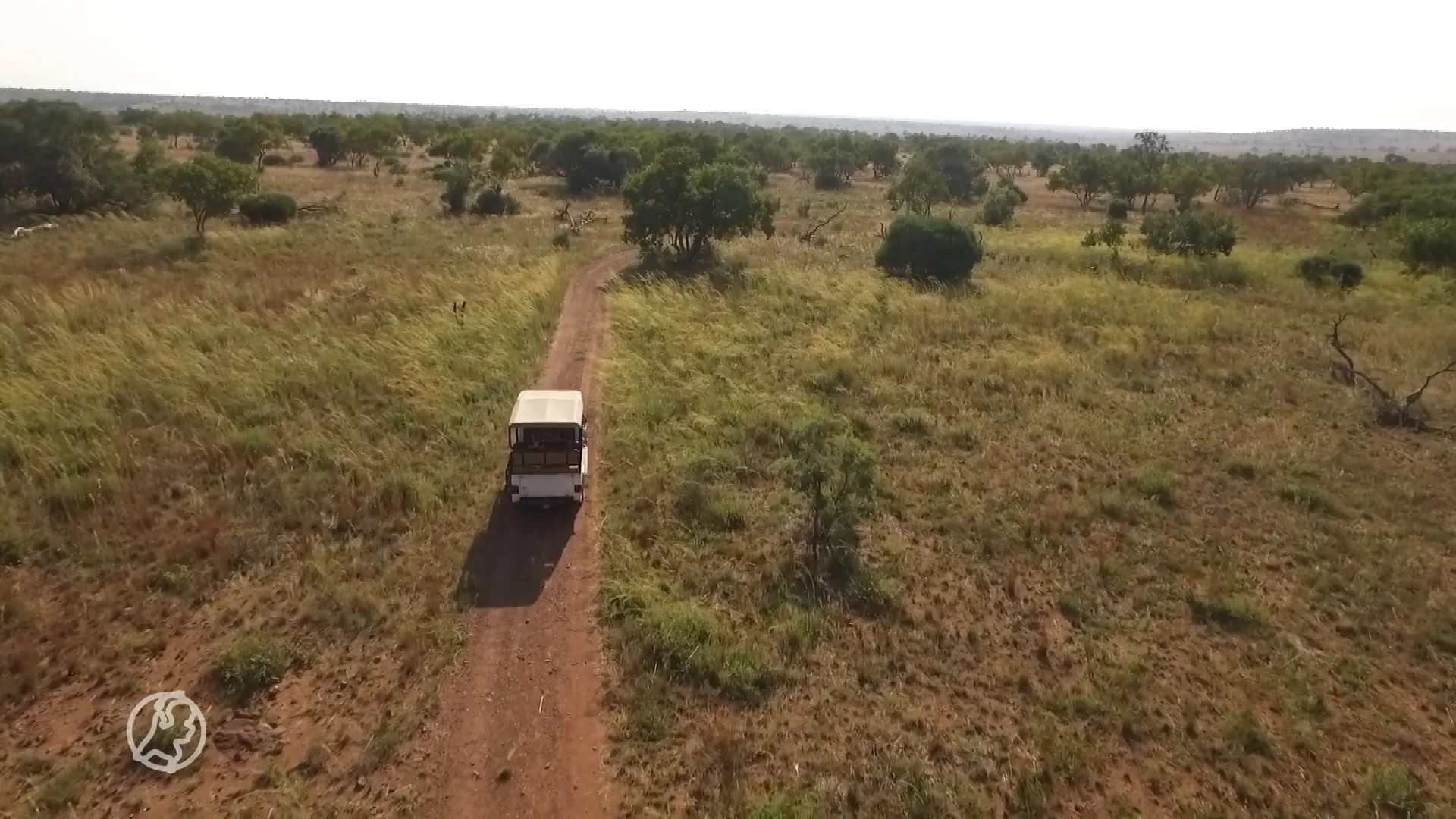 Gratis rijbewijs of reisje naar Afrika? Bij deze bedrijven krijg je ze cadeau