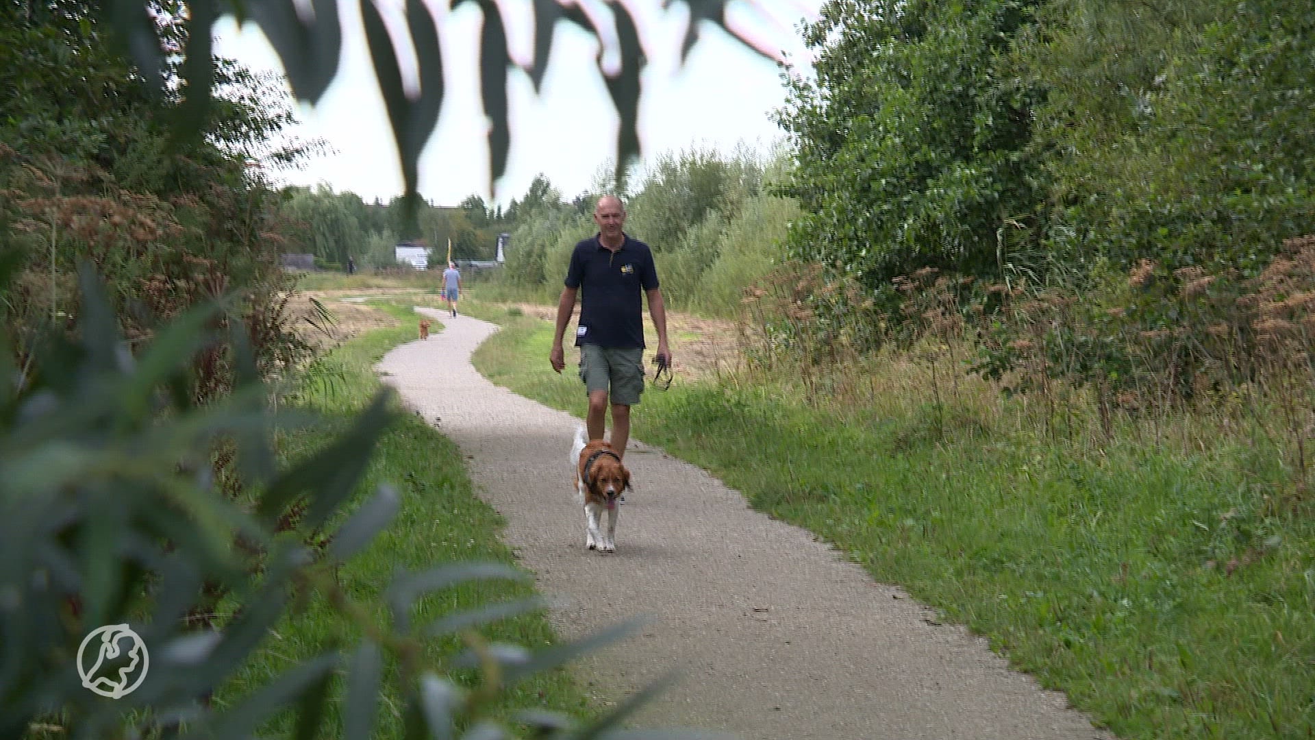 Kwart hondenbaasjes regelt niets voor hond bij overlijden, en dat kan fout gaan