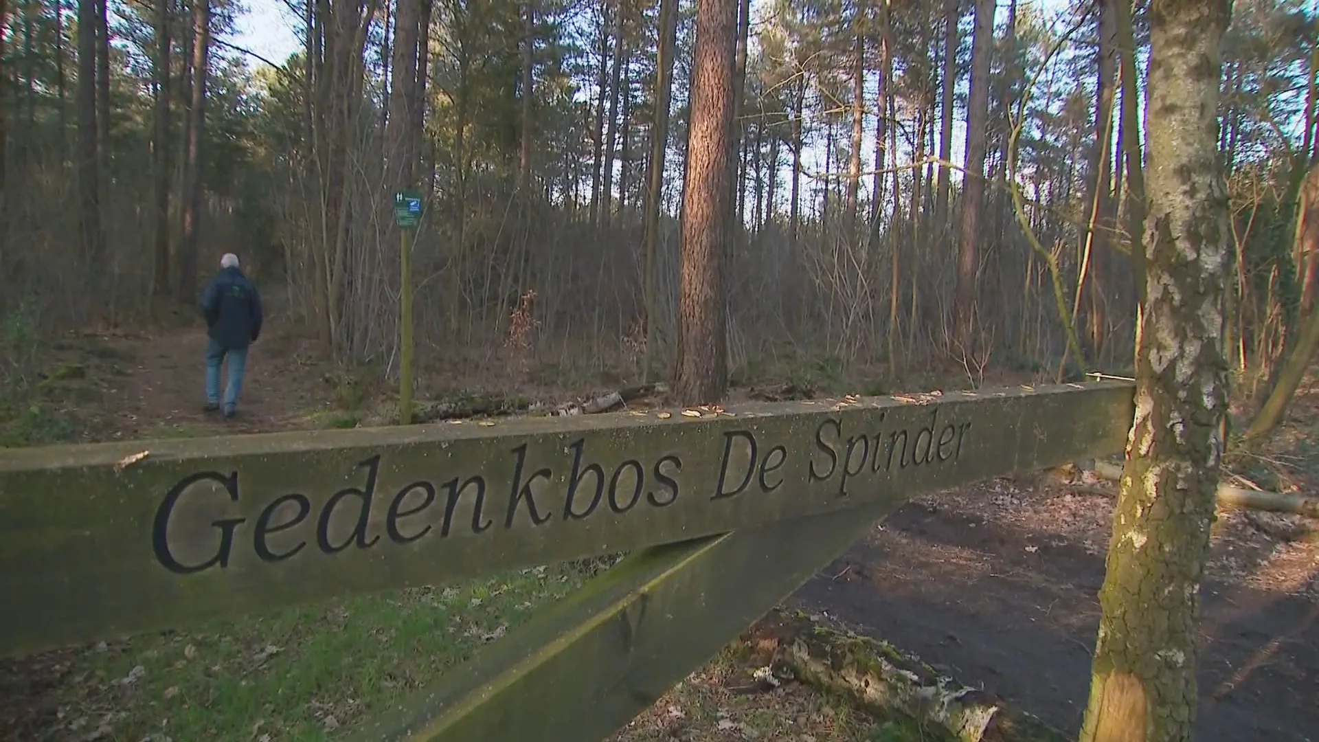 Hitsige heren verstoren zielenrust in gedenkbos: 'Vond gebruikte condooms op gedenkbankje' 