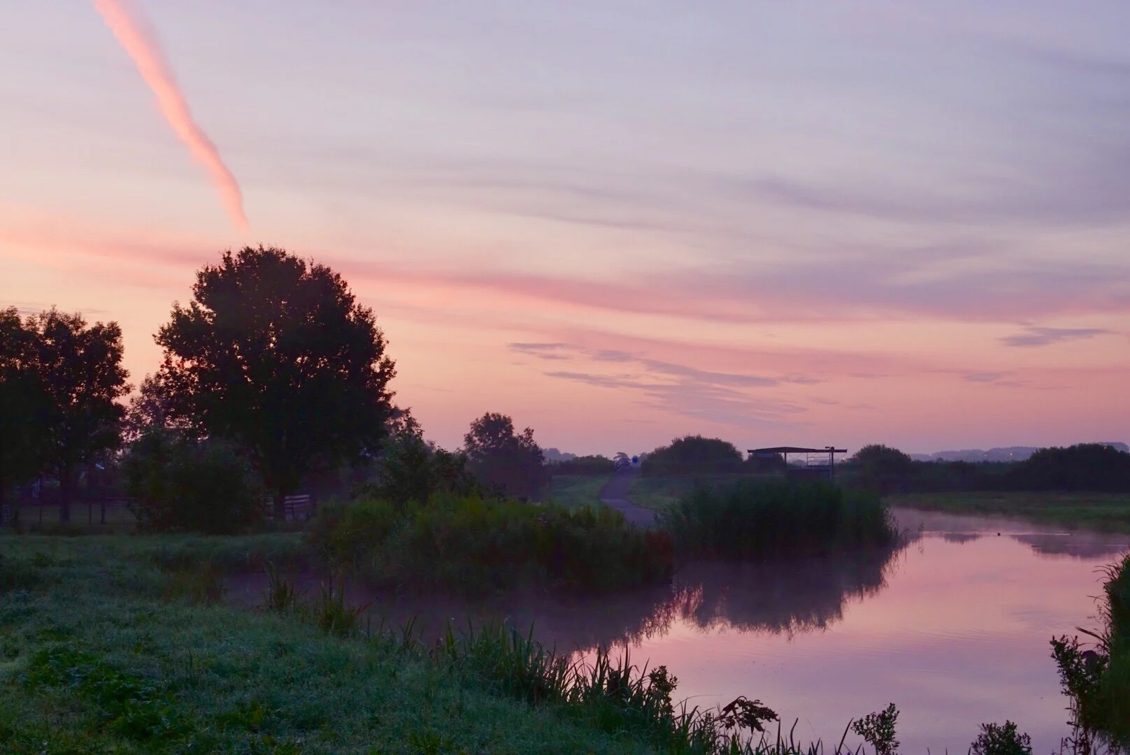 Zomerse opleving is begonnen: volop zon en hogere temperaturen
