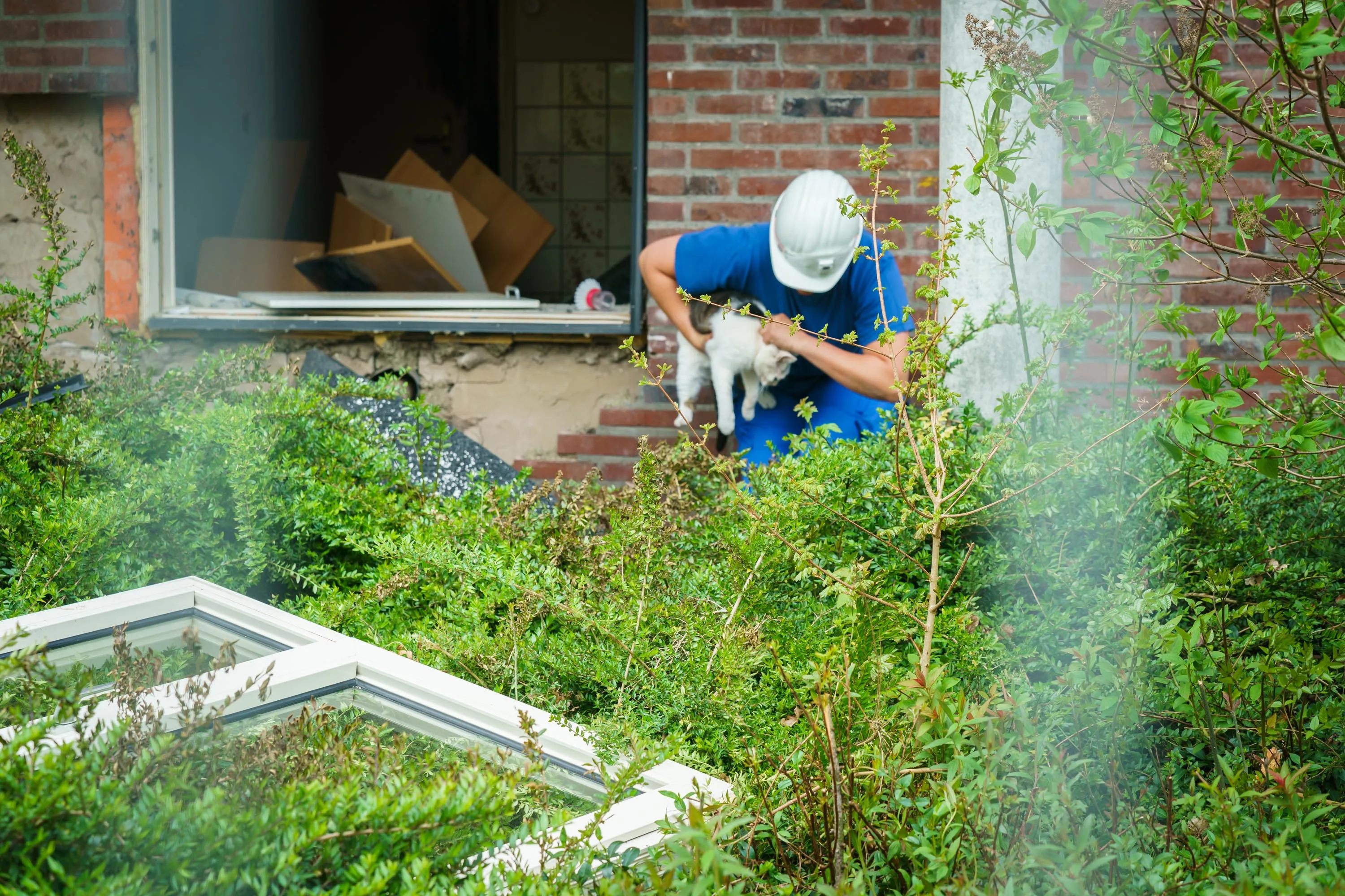 Huisdieren gered uit puin van ingestorte flat in Bilthoven