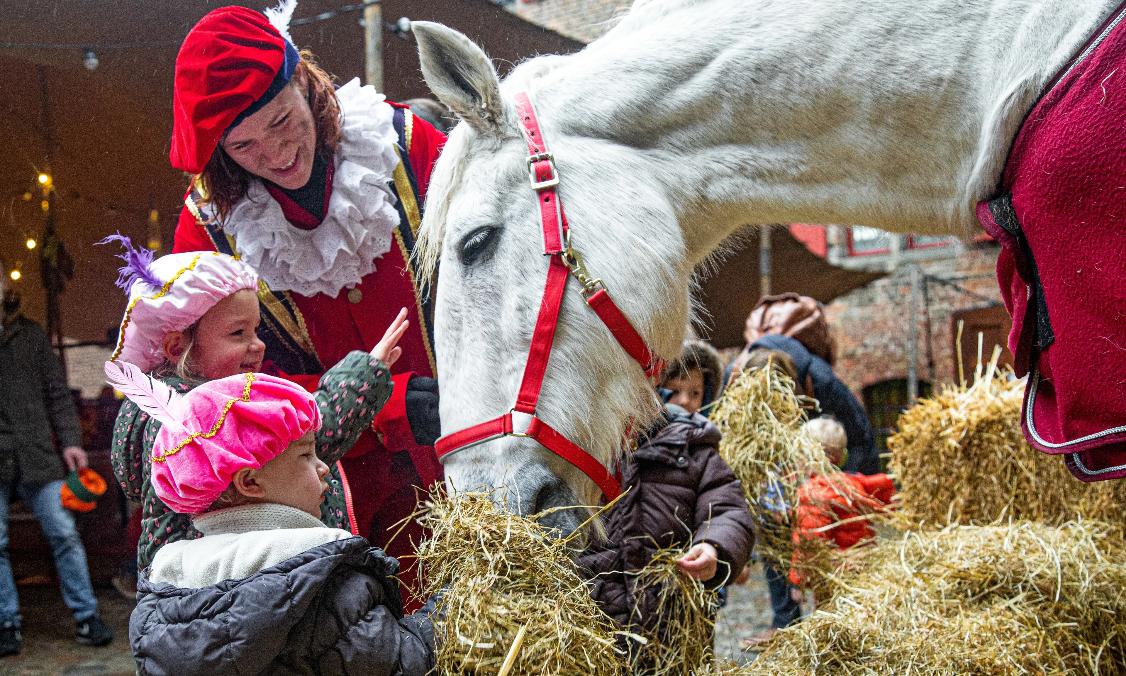 Paard zakt door benen tijdens intocht Sinterklaas: eigenaar krijgt taakstraf