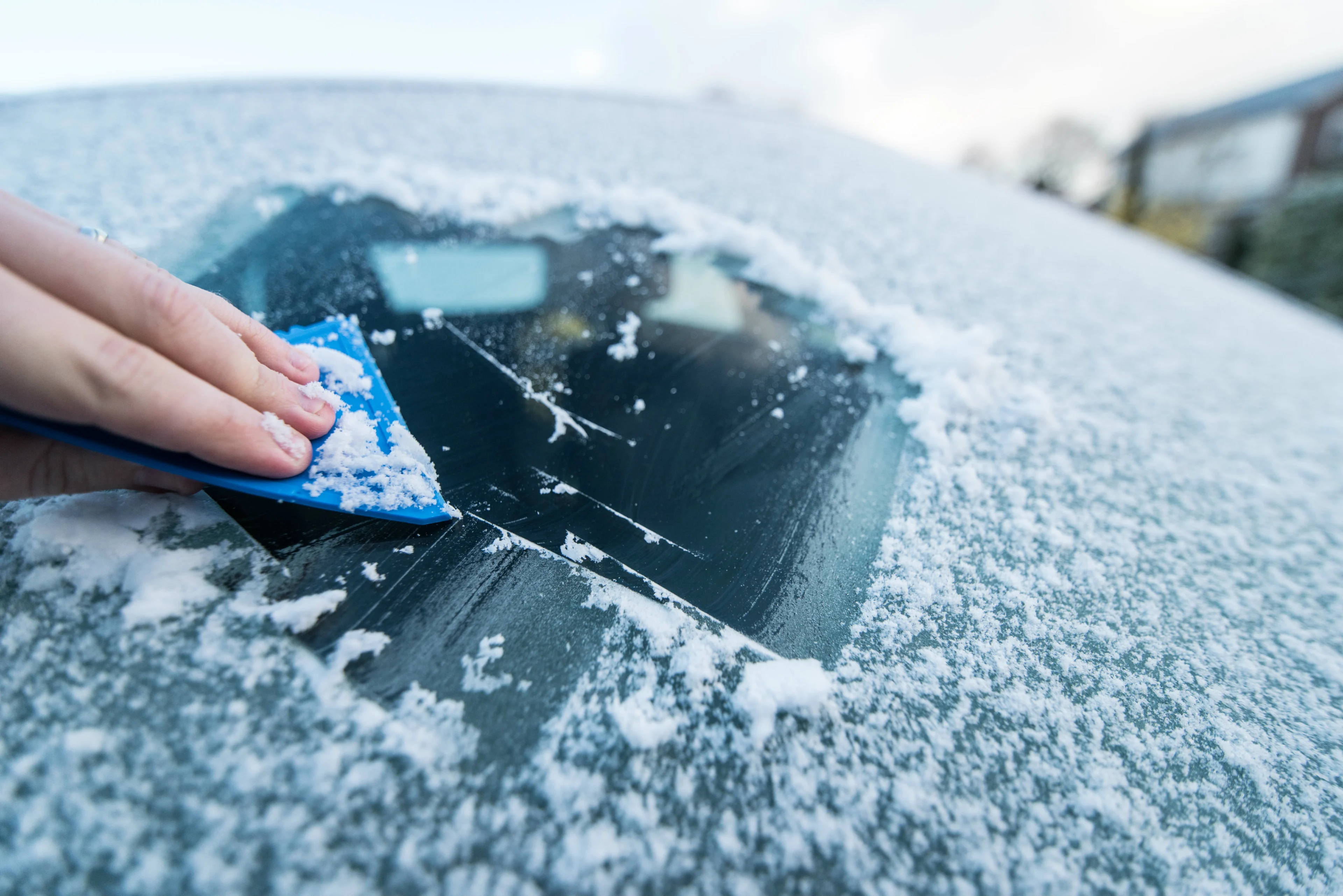 Eerste nachtvorst sinds zomer is een feit: -1,3 graden