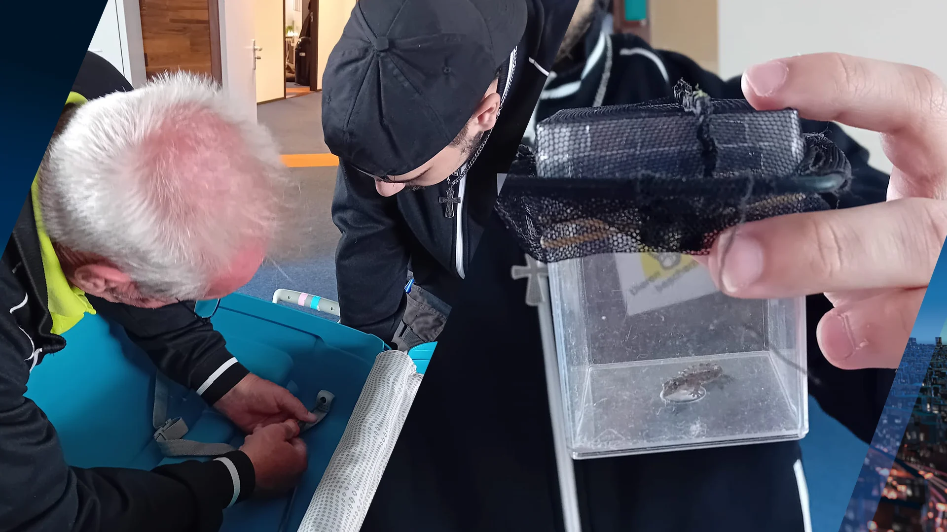 Dat is schrikken: Aziatisch reptiel kruipt uit reiskoffer bij thuiskomst