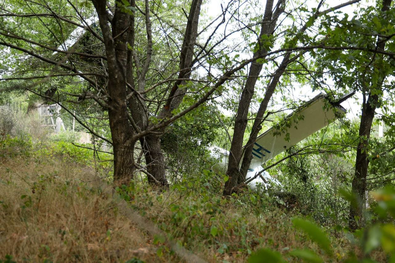 Zweefvliegtuig stort neer in bossen bij Arnhem