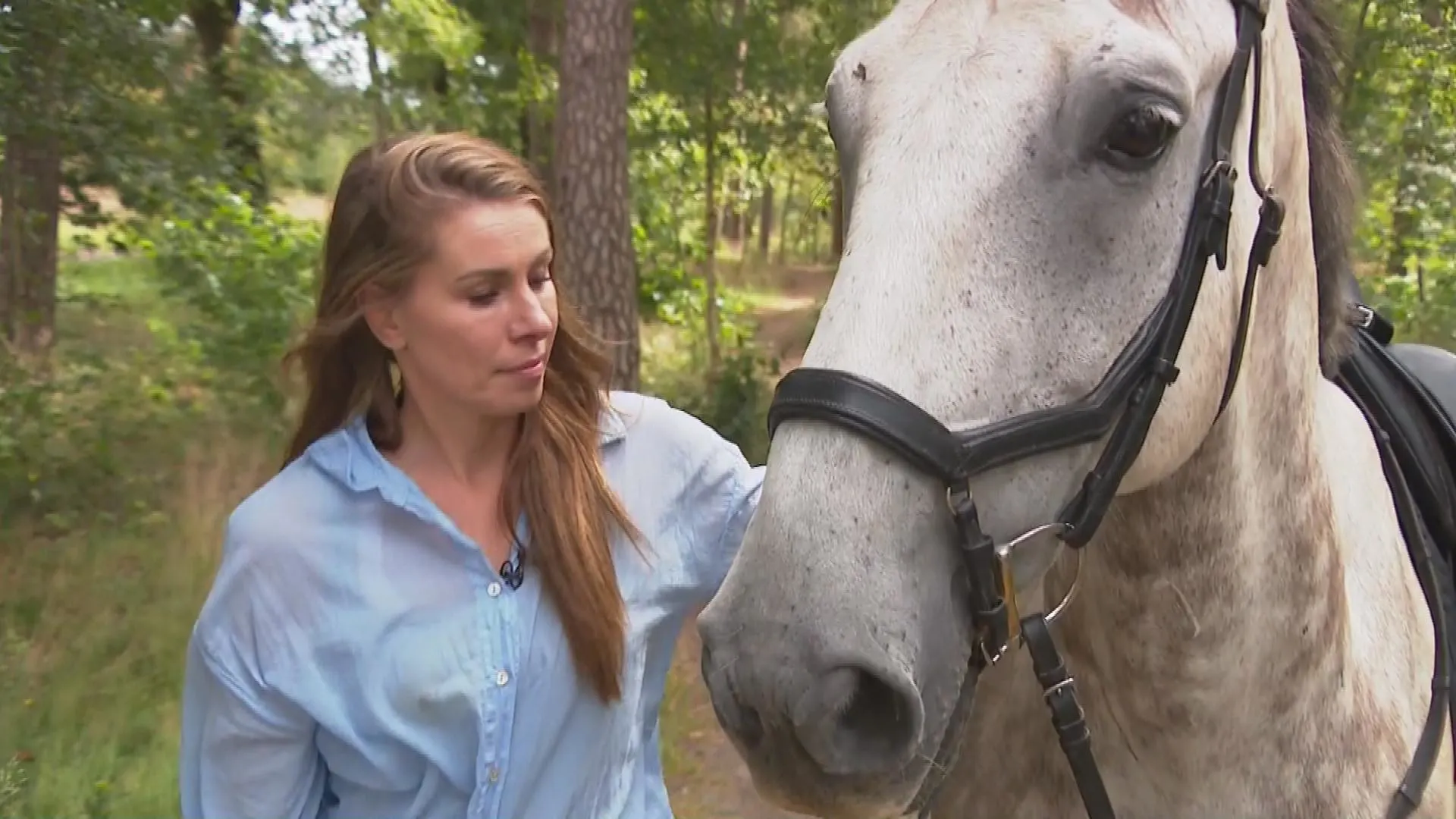 Ruiter Maartje achtervolgd door wolf: 'Kwestie van tijd dat er een kind wordt gepakt'