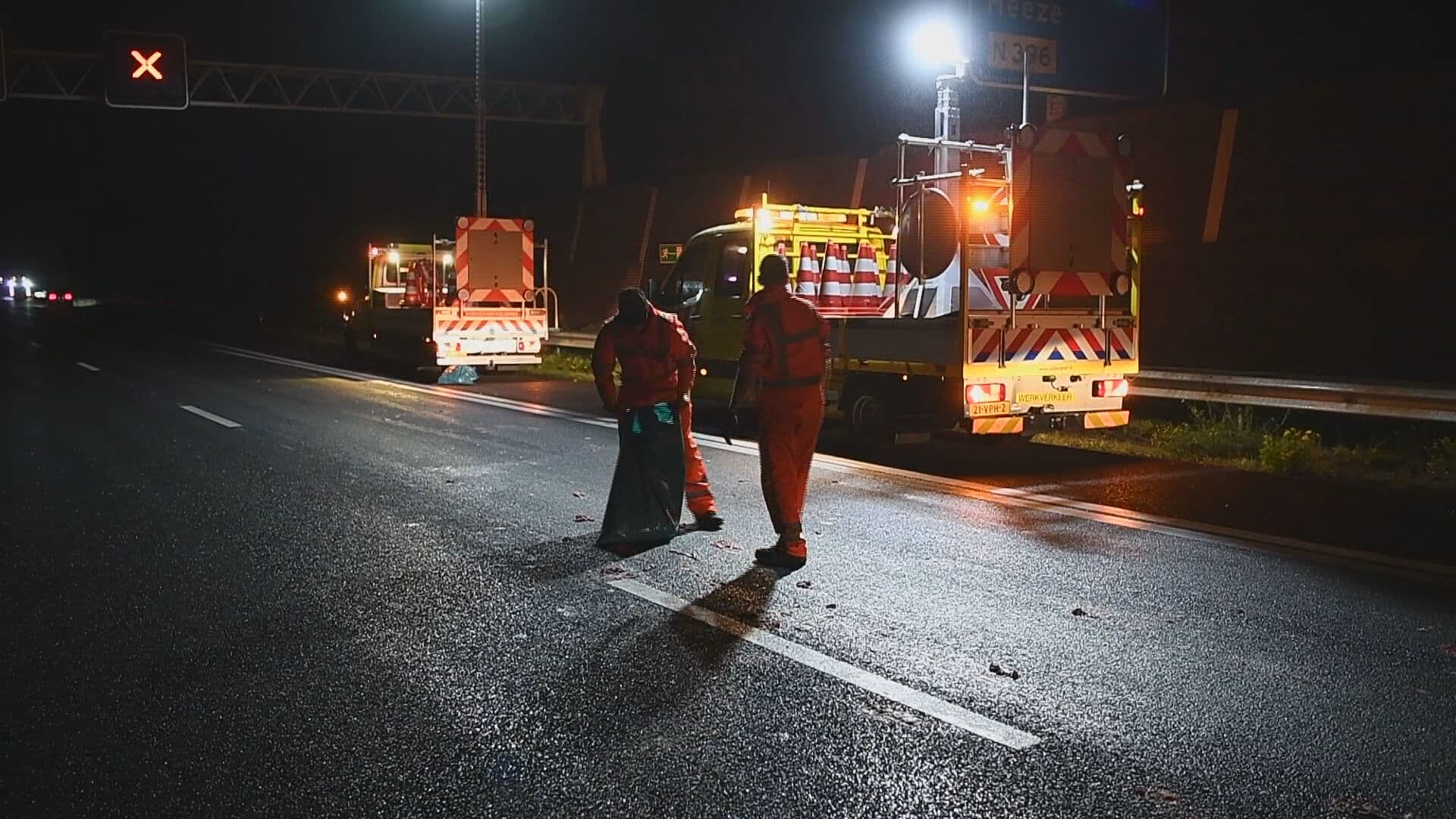 Hangbuikzwijntjes dood na aanrijding op A2 bij Leende