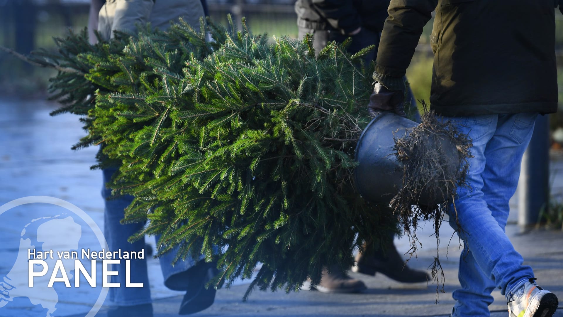 Meeste mensen tuigen dit weekend kerstboom af, klein deel wacht tot na Driekoningen