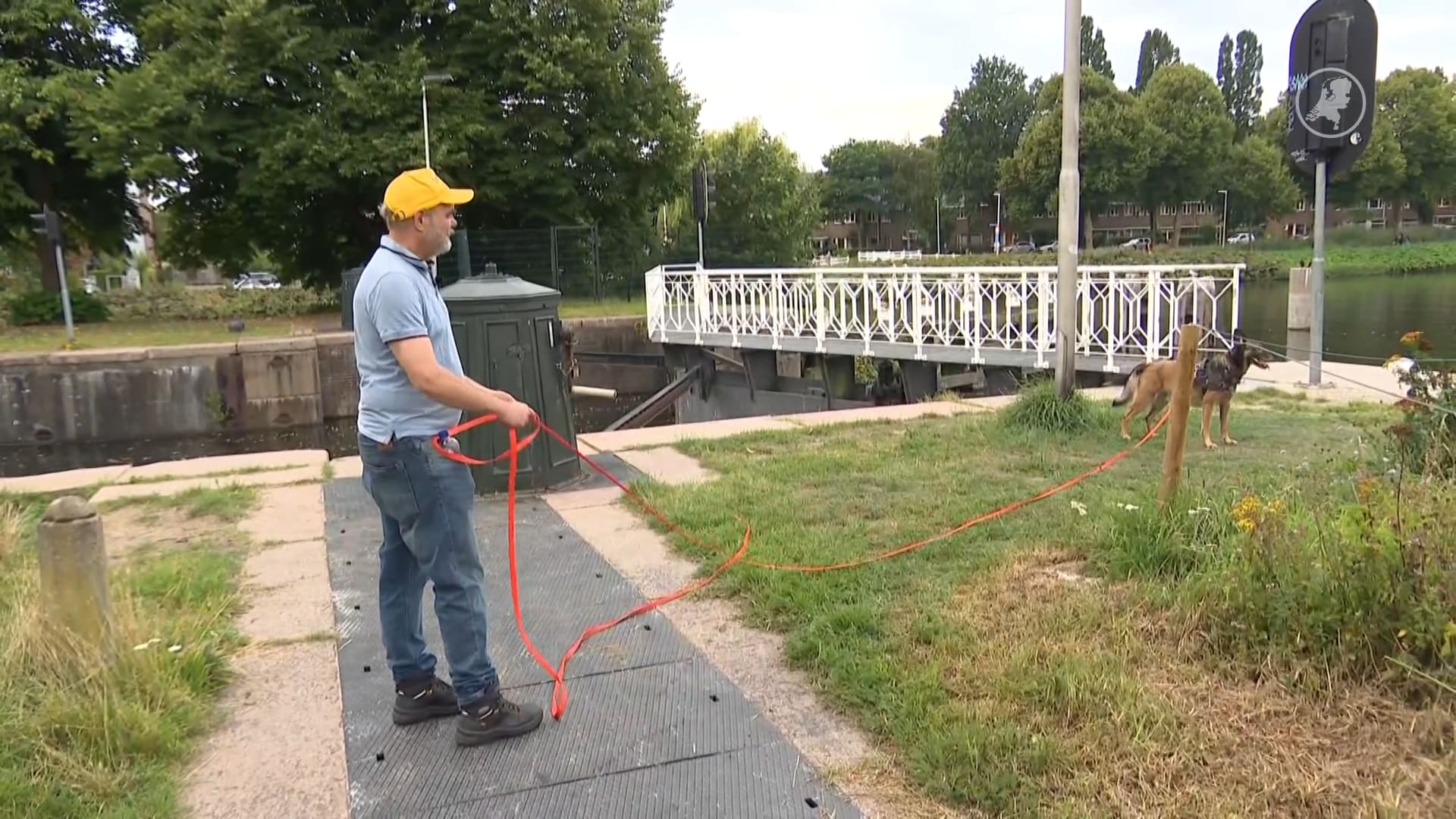 Speurhond Tommy is op zoek naar vermiste kat Nono