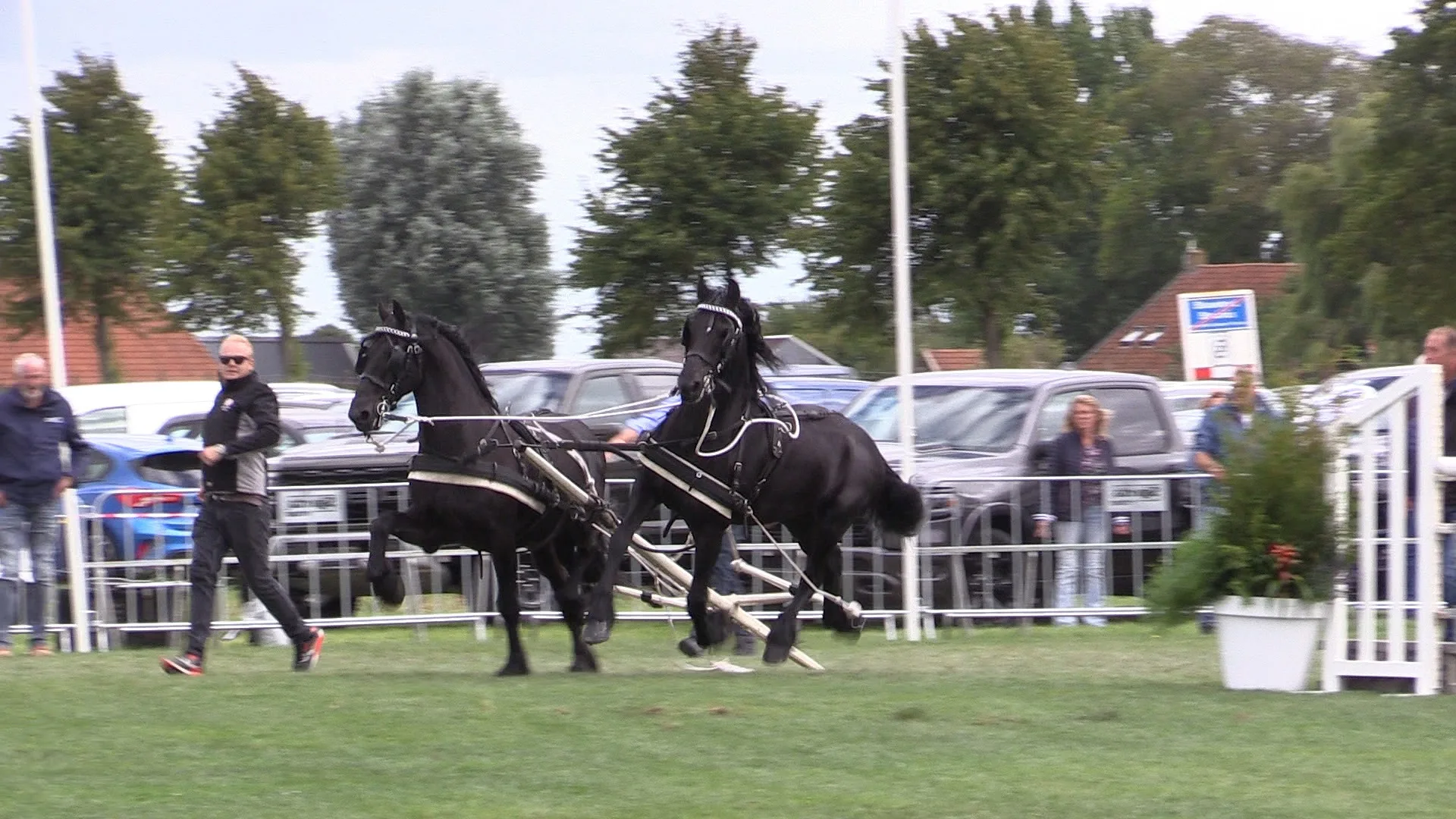 Koets slaat om tijdens paardenevenement: paarden slaan op hol