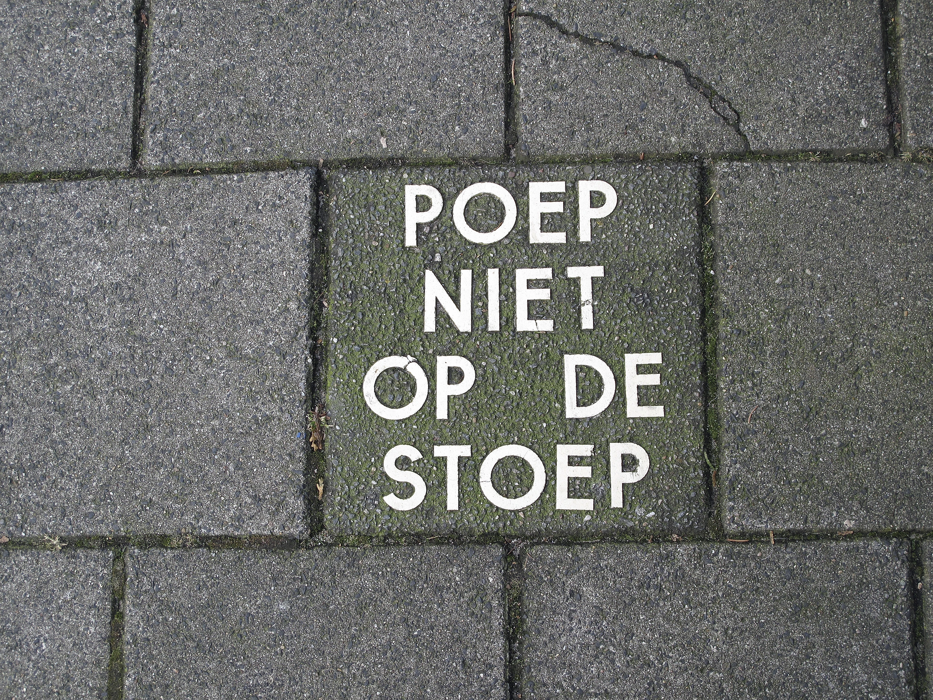 Wildpoeper in Amersfoort dankzij camerabeelden alsnog op de bon geslingerd