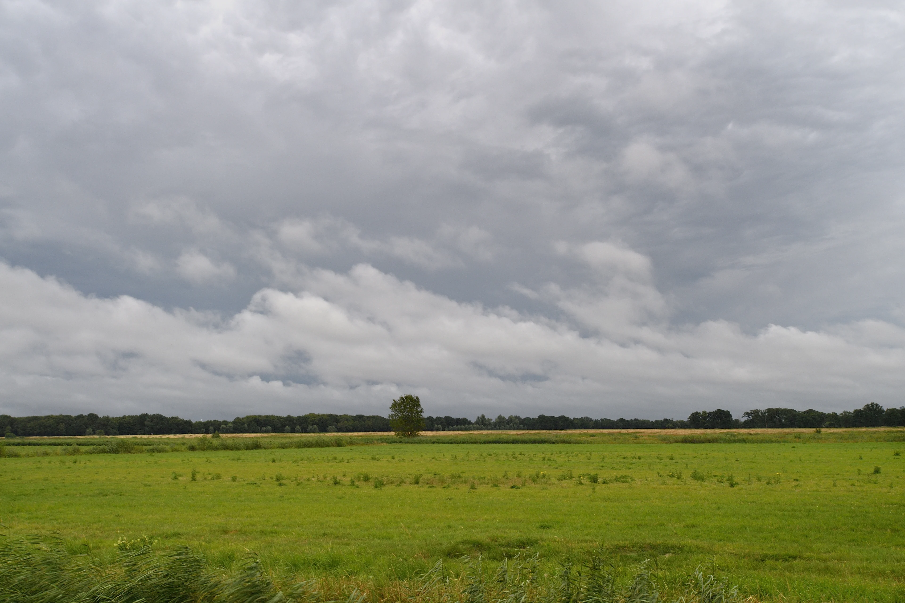 Waterkoude donderdag met regen en weinig zon