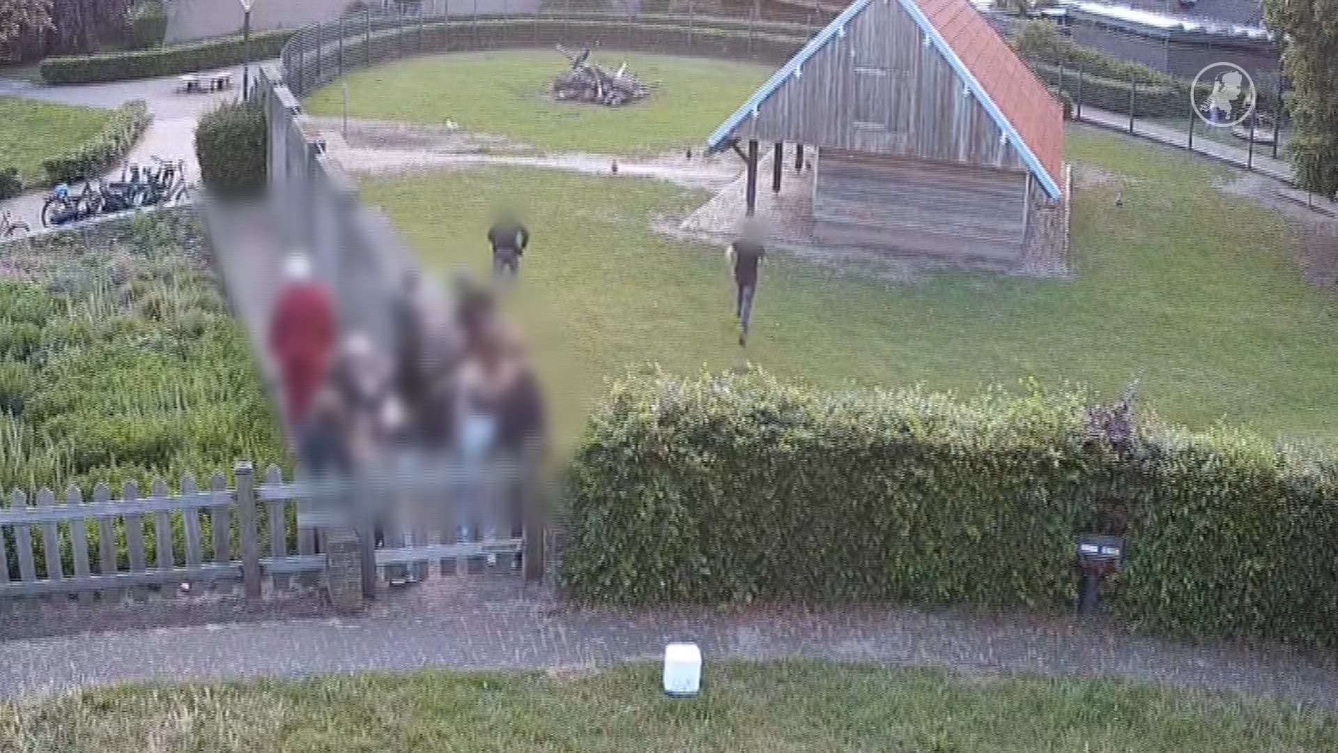 Jongeren gooien met kippen in hertenkamp Mierlo