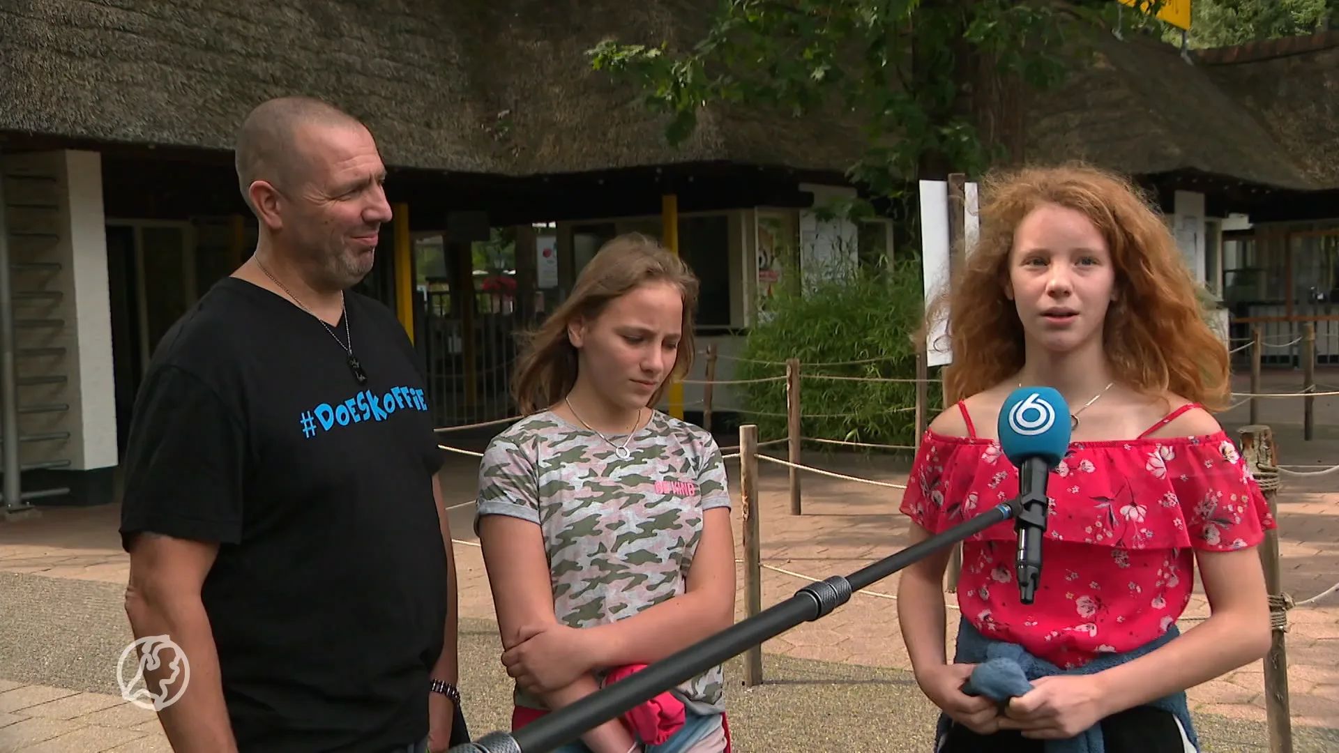 Bezoekers dierenpark wisten eerst niet wat er speelde: 'Mensen riepen: er is een wolf ontsnapt!'