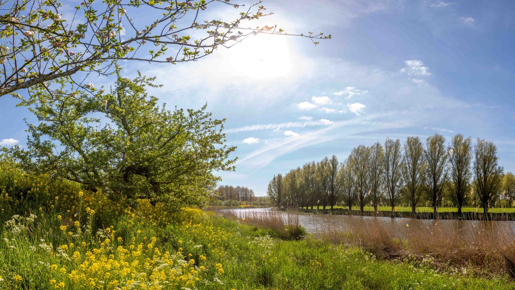 Eindelijk lente! Vandaag heerlijk weer, met temperaturen boven 20 graden