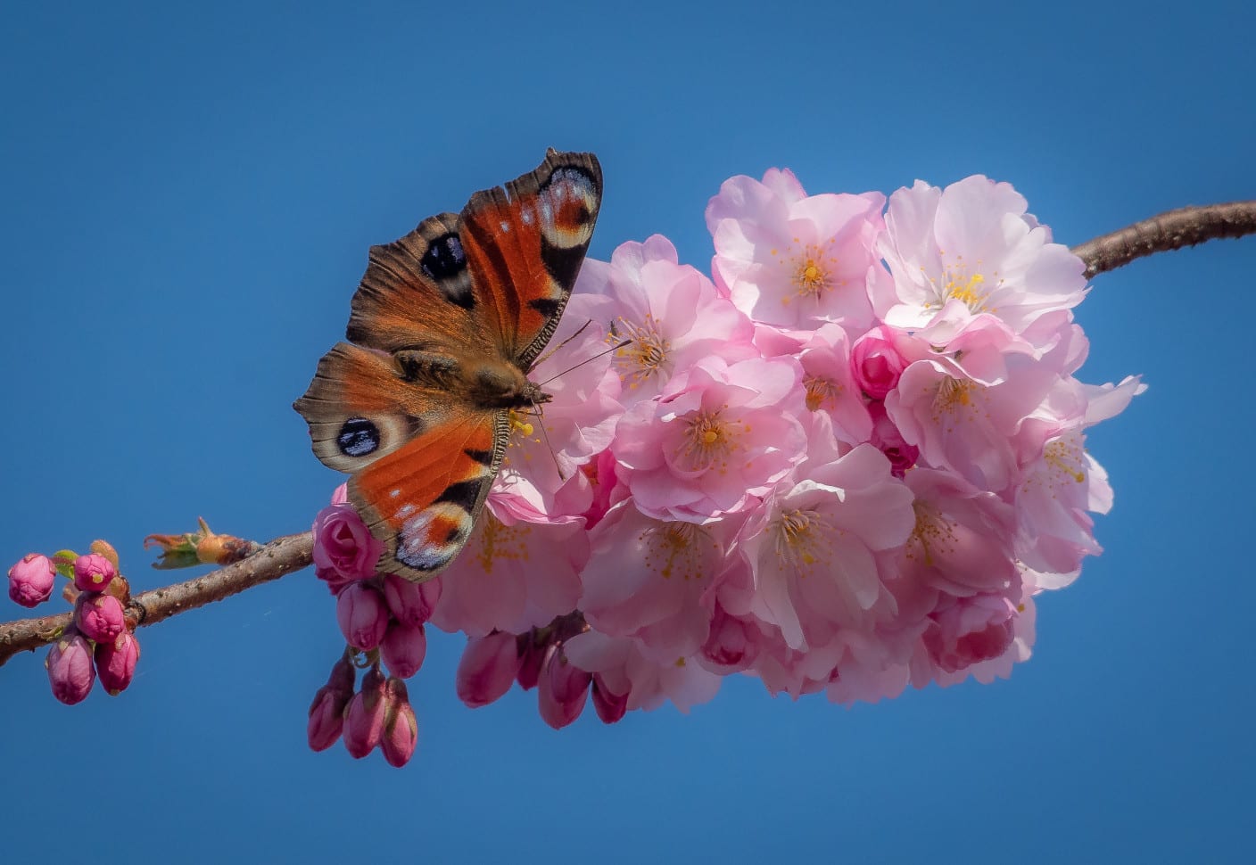 Nu nog even genieten van de lente, volgende week een stuk kouder