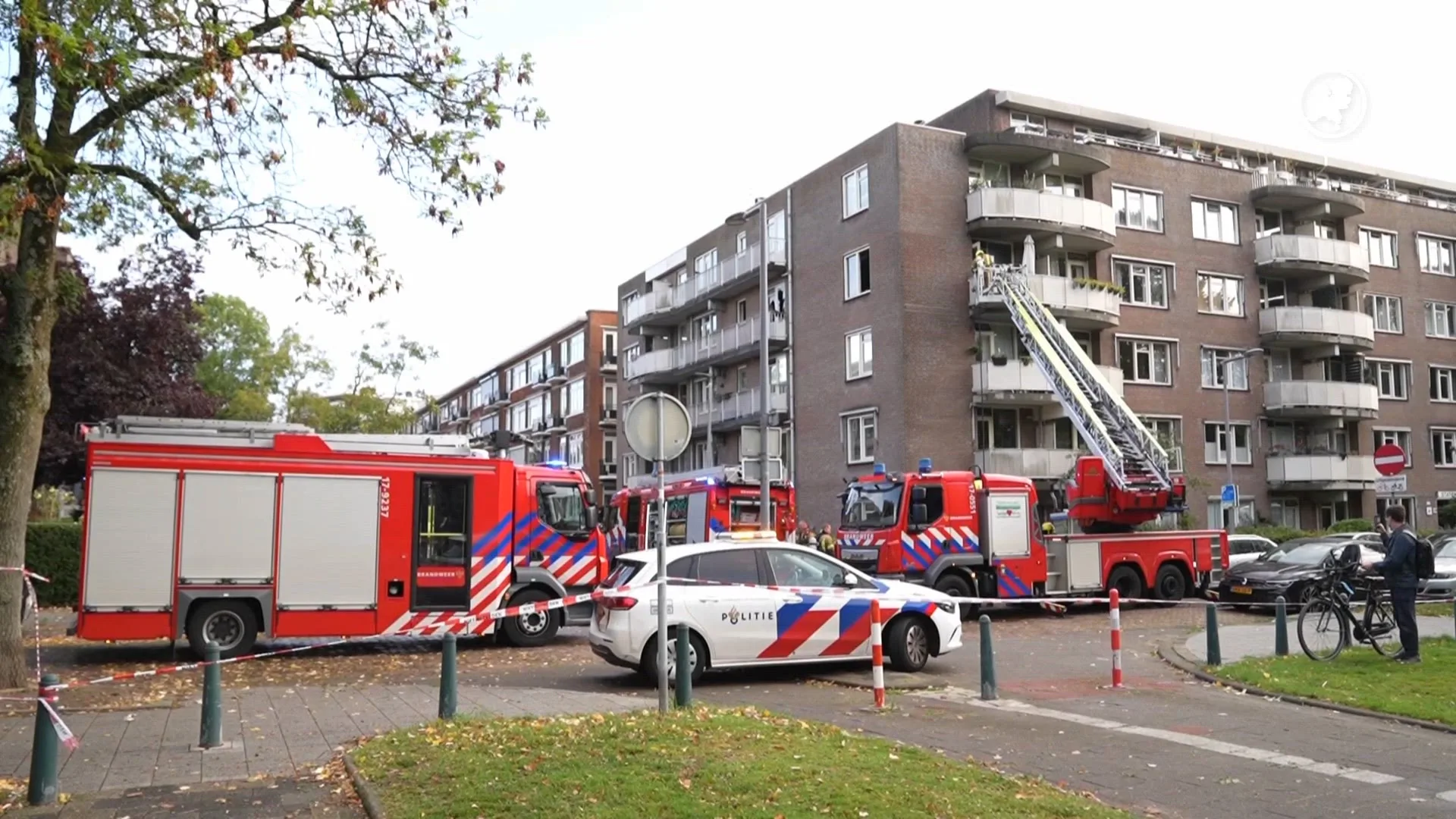 Kat overleden en hond gewond bij woningbrand Rotterdamse flat