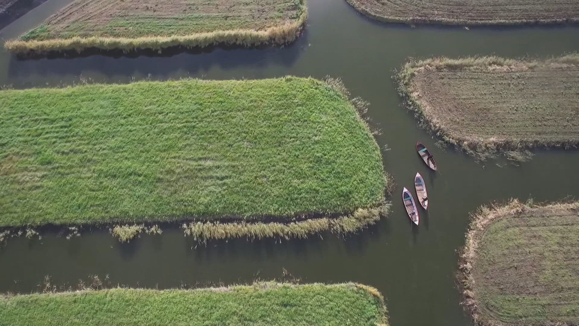 Eilandenrijk in de spotlights door Songfestival: ‘Hopelijk trekt het toeristen’