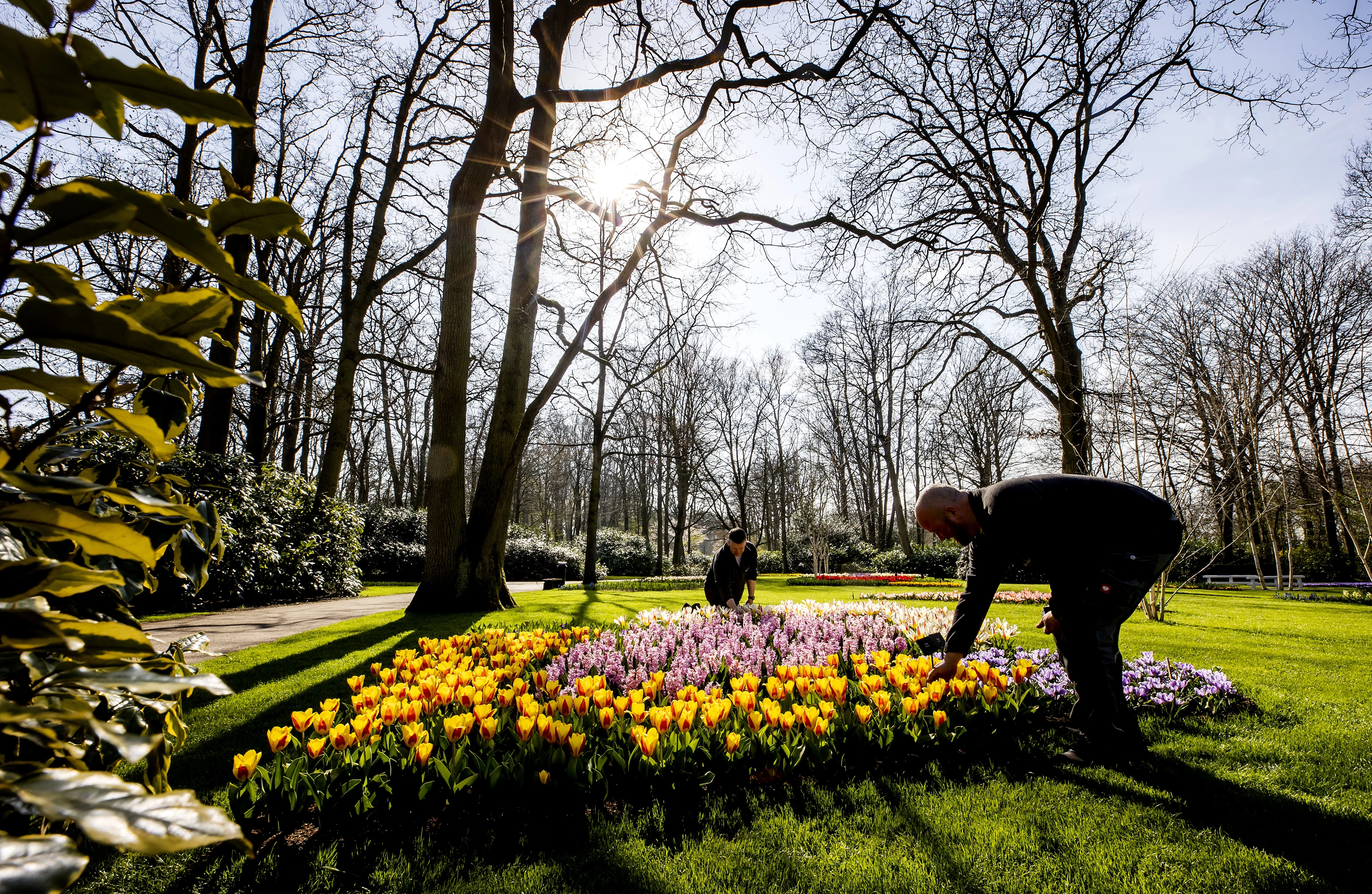 Eerste lentetemperaturen van het jaar gemeten