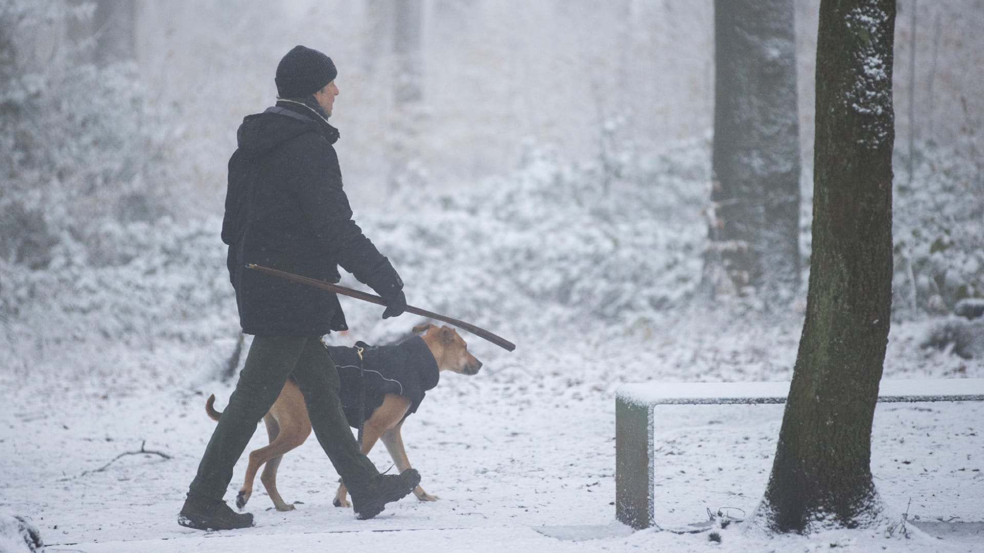 We hebben een paar winterse dagen voor de boeg