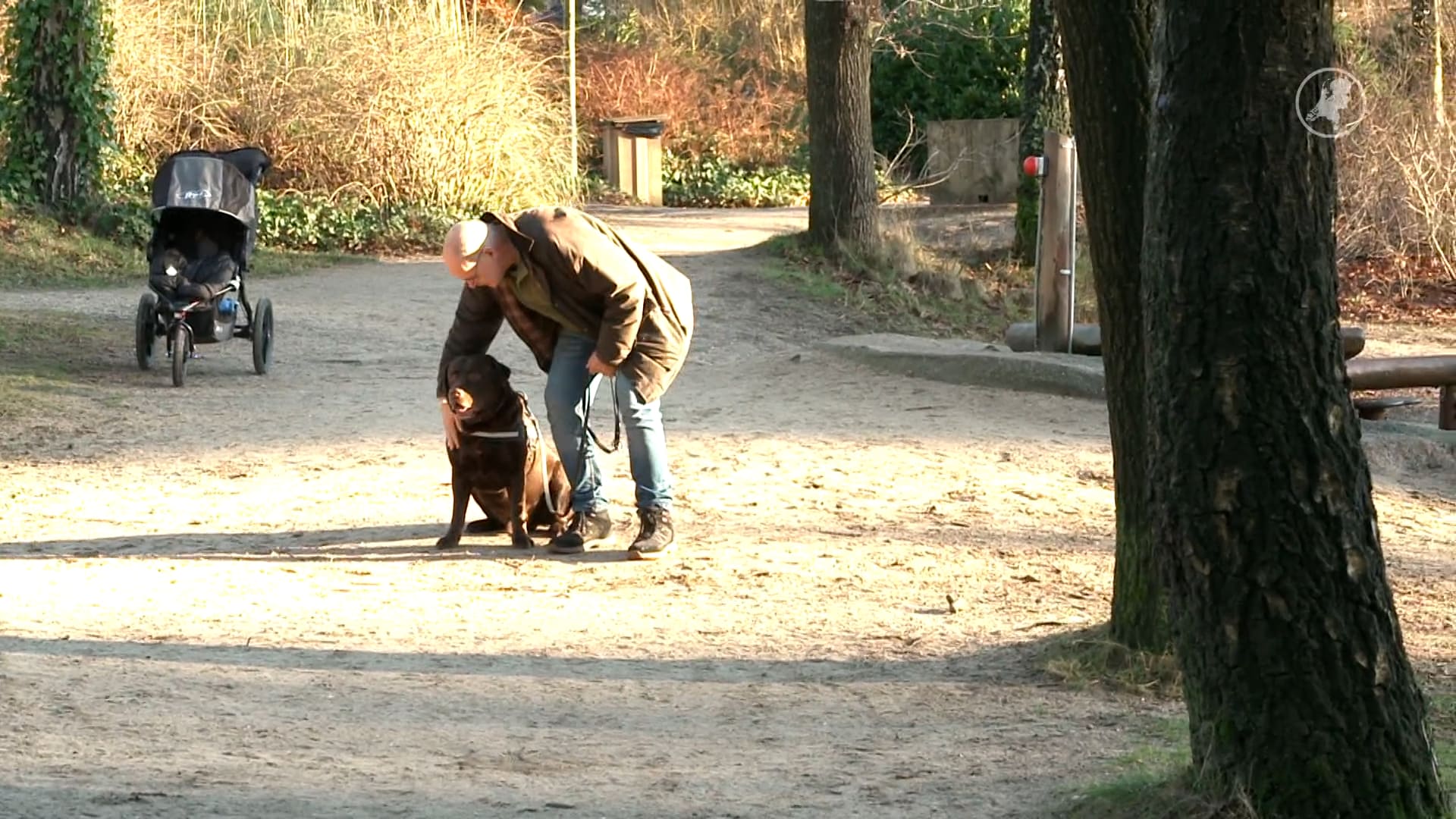 Even geen vuurwerk deze jaarwisseling? Op dit park is knallen uit den boze