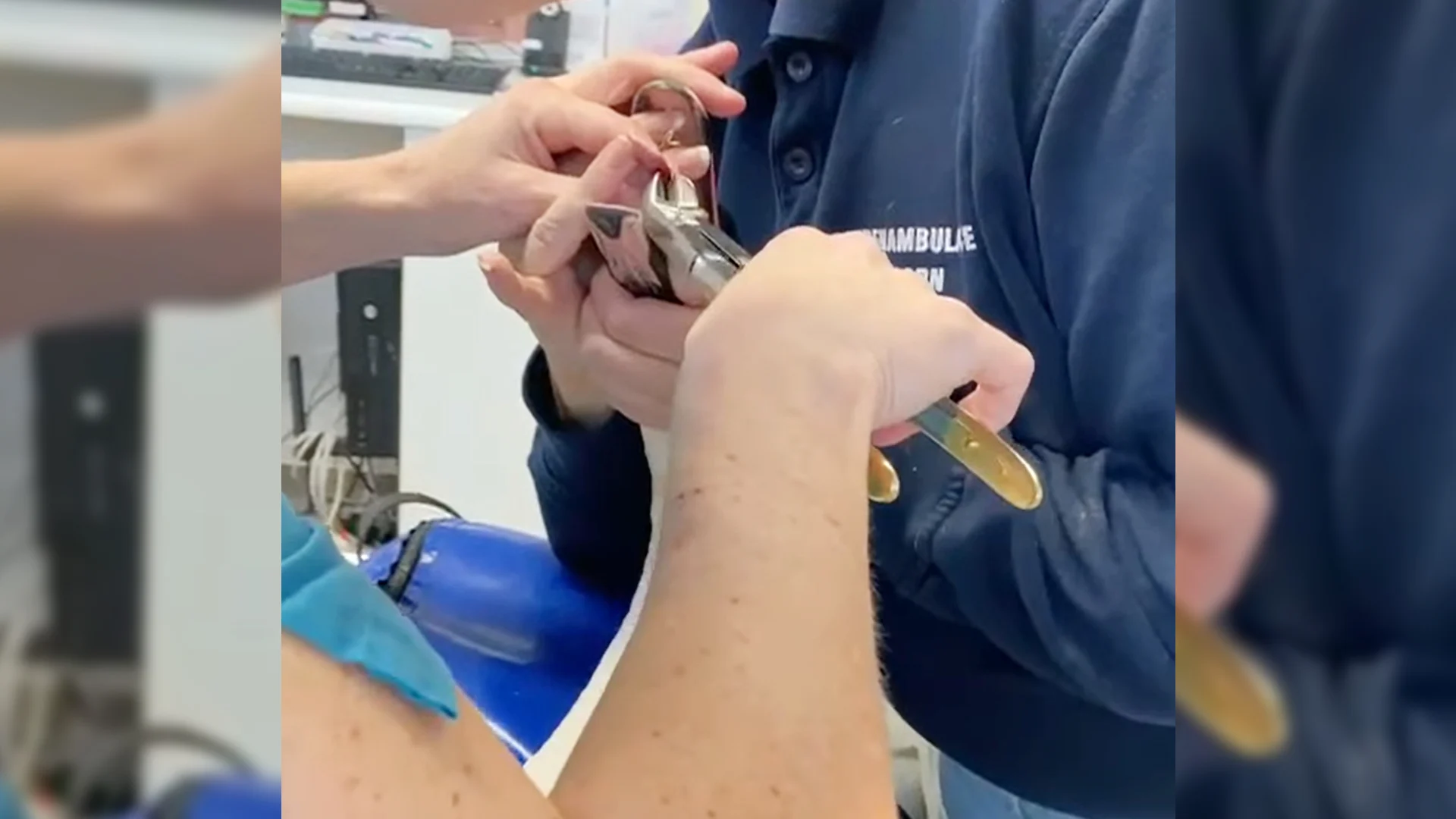 Vishaak uit tong van zwaan gehaald in Enkhuizen: 'Jammer genoeg iets wat we vaker zien'