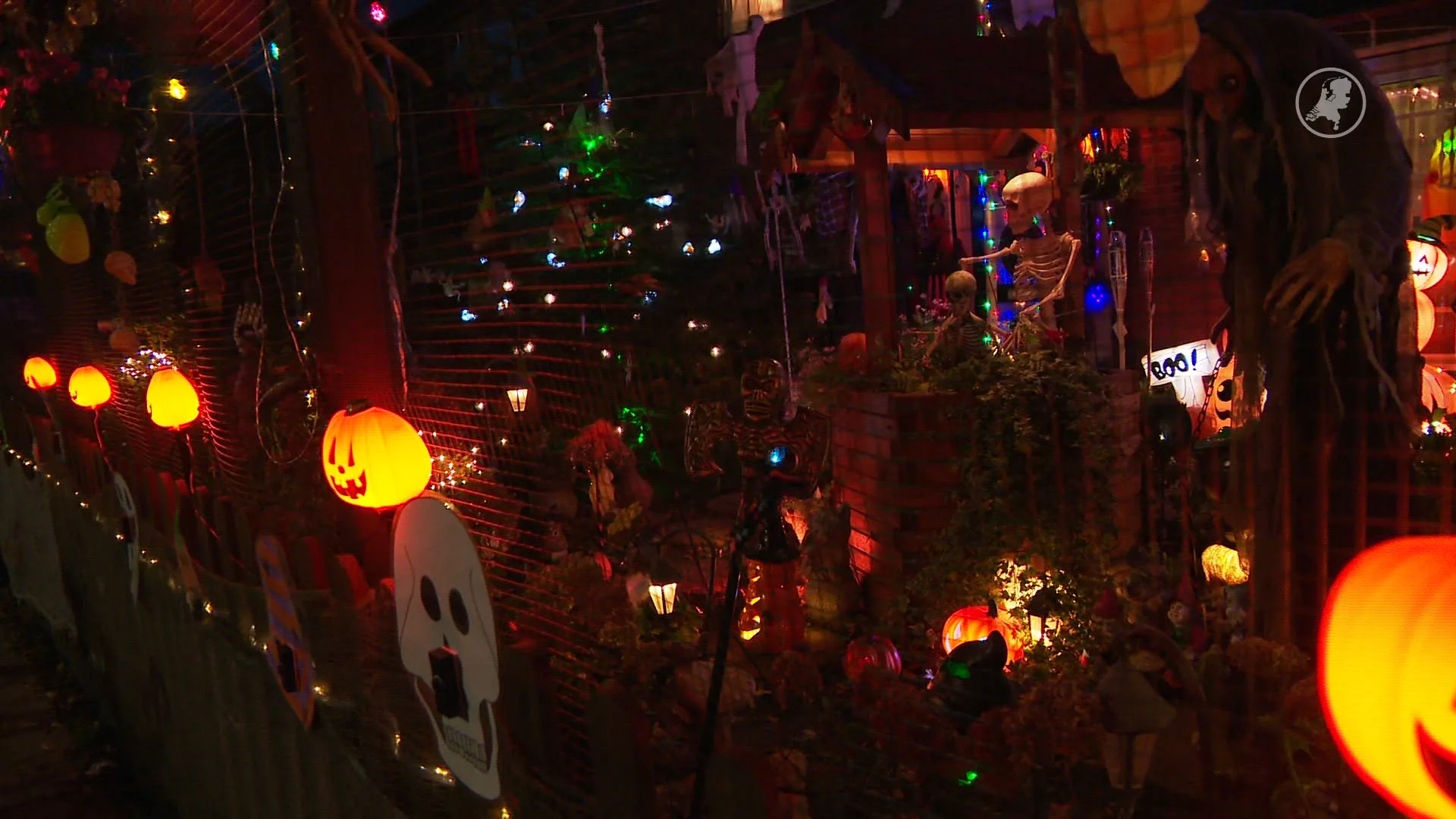 We hebben steeds meer zin in feestdagen, maar Sinterklaas minder populair