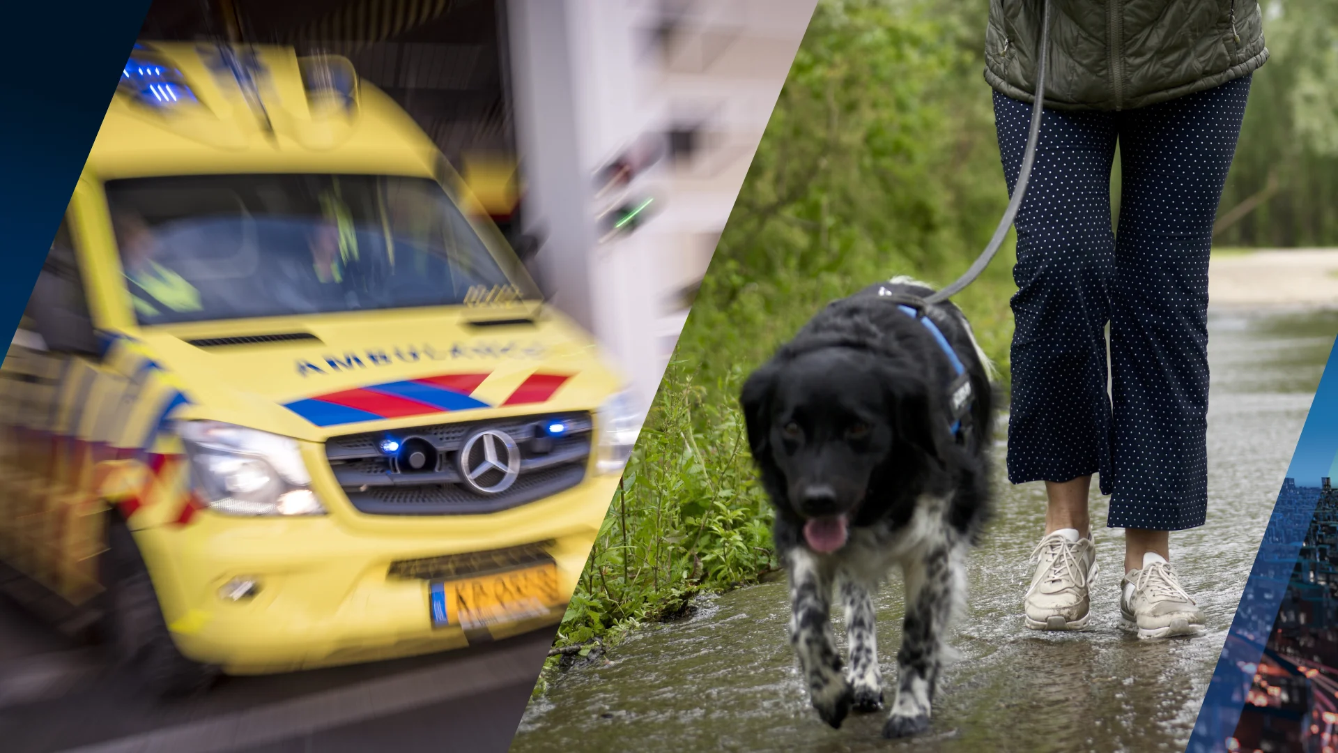 Oudere man (84) en hond overleden door aanrijding in Hoogblokland