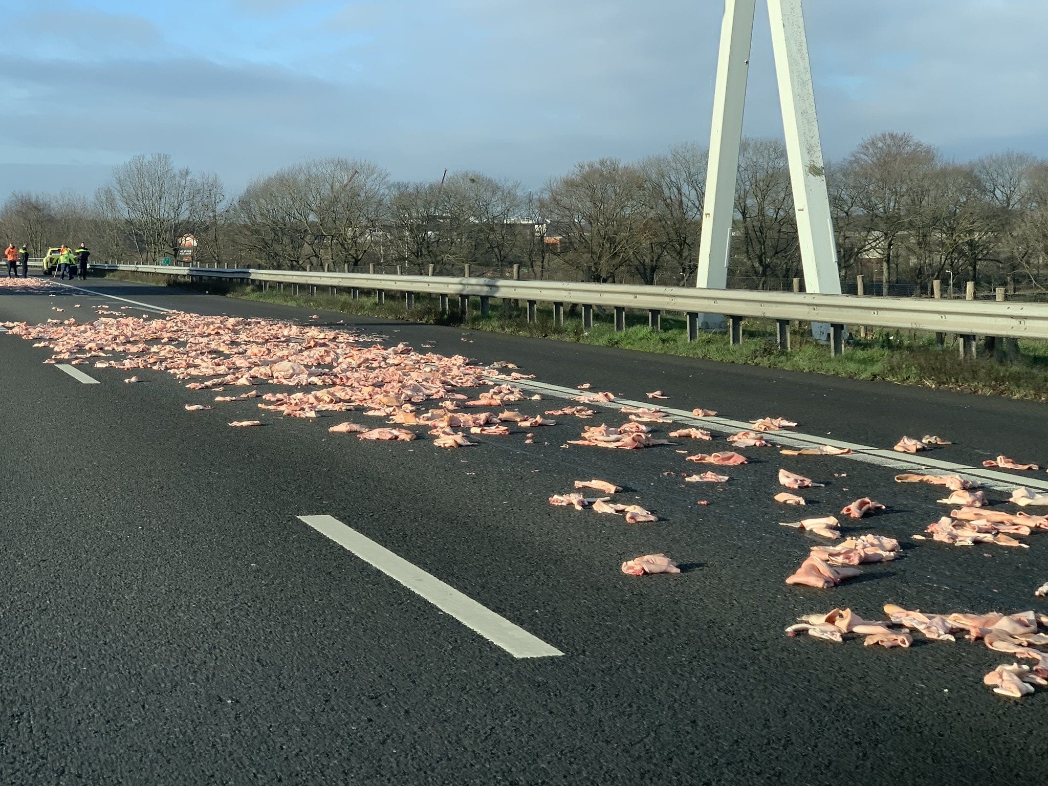 A67 bezaaid met varkenshuiden nadat vrachtwagen lading verliest
