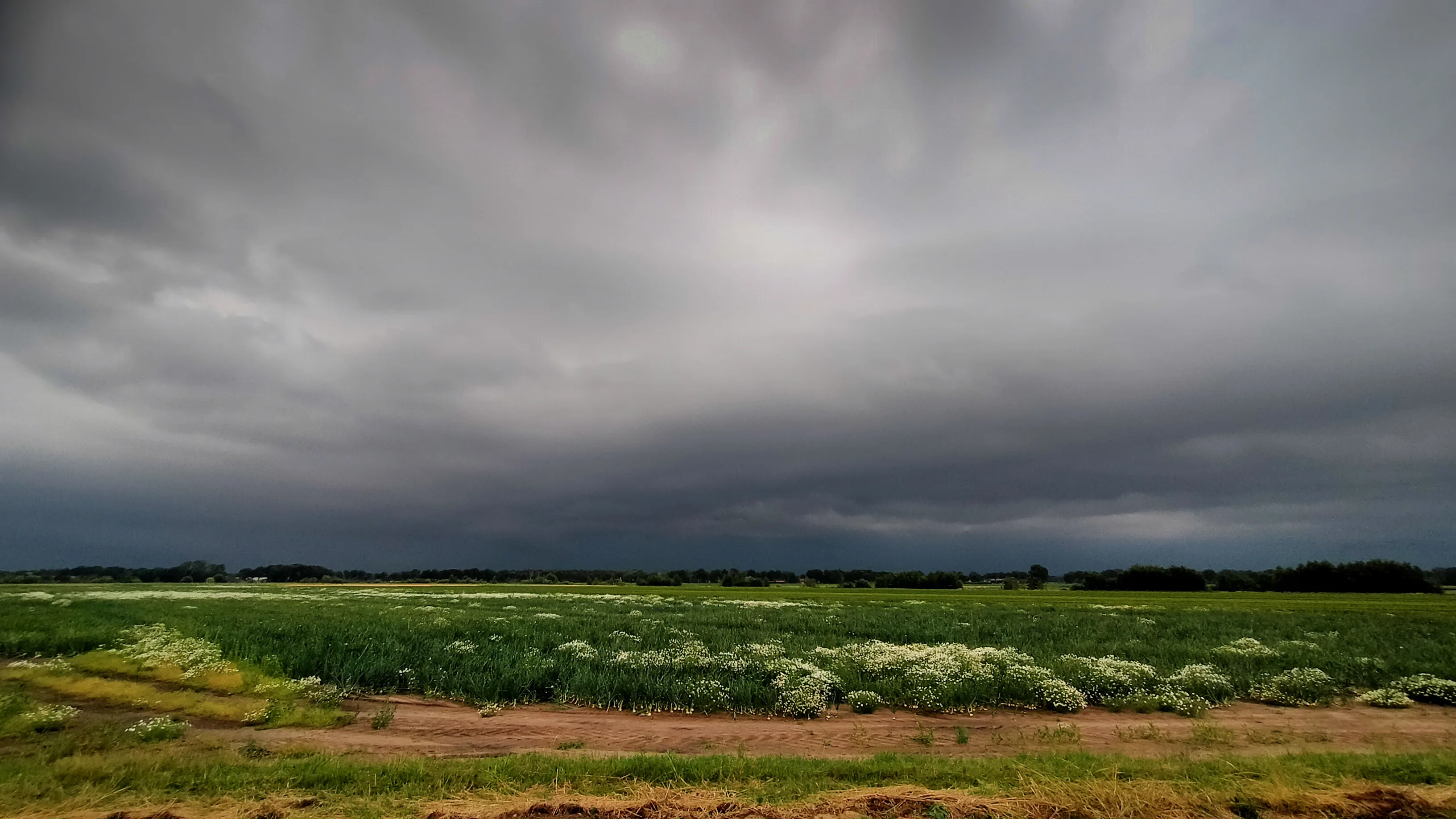 Zomer maakt comeback: temperaturen lopen dit weekeinde weer op
